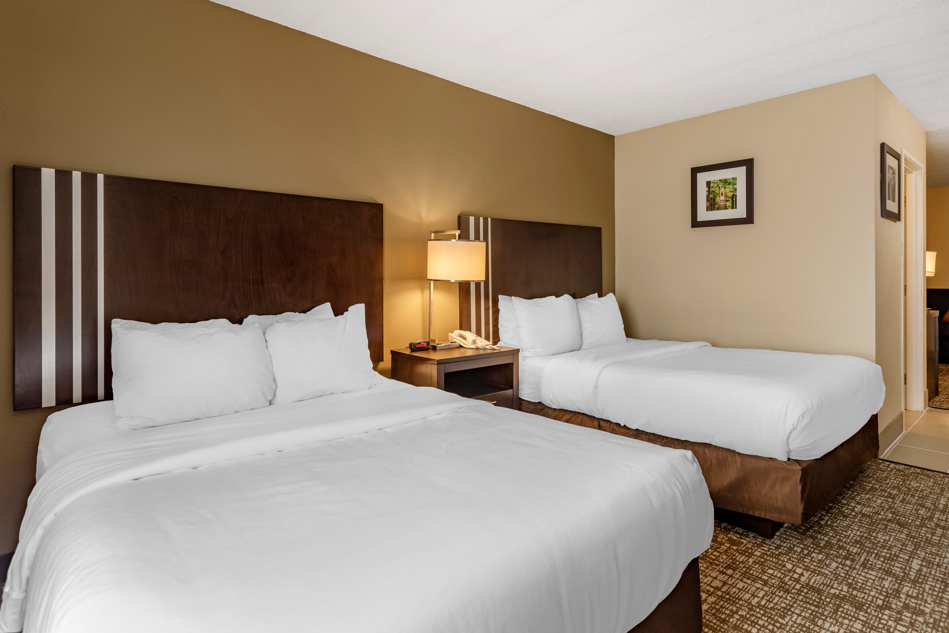 Comfort Inn Paducah I-24 - Image 2
