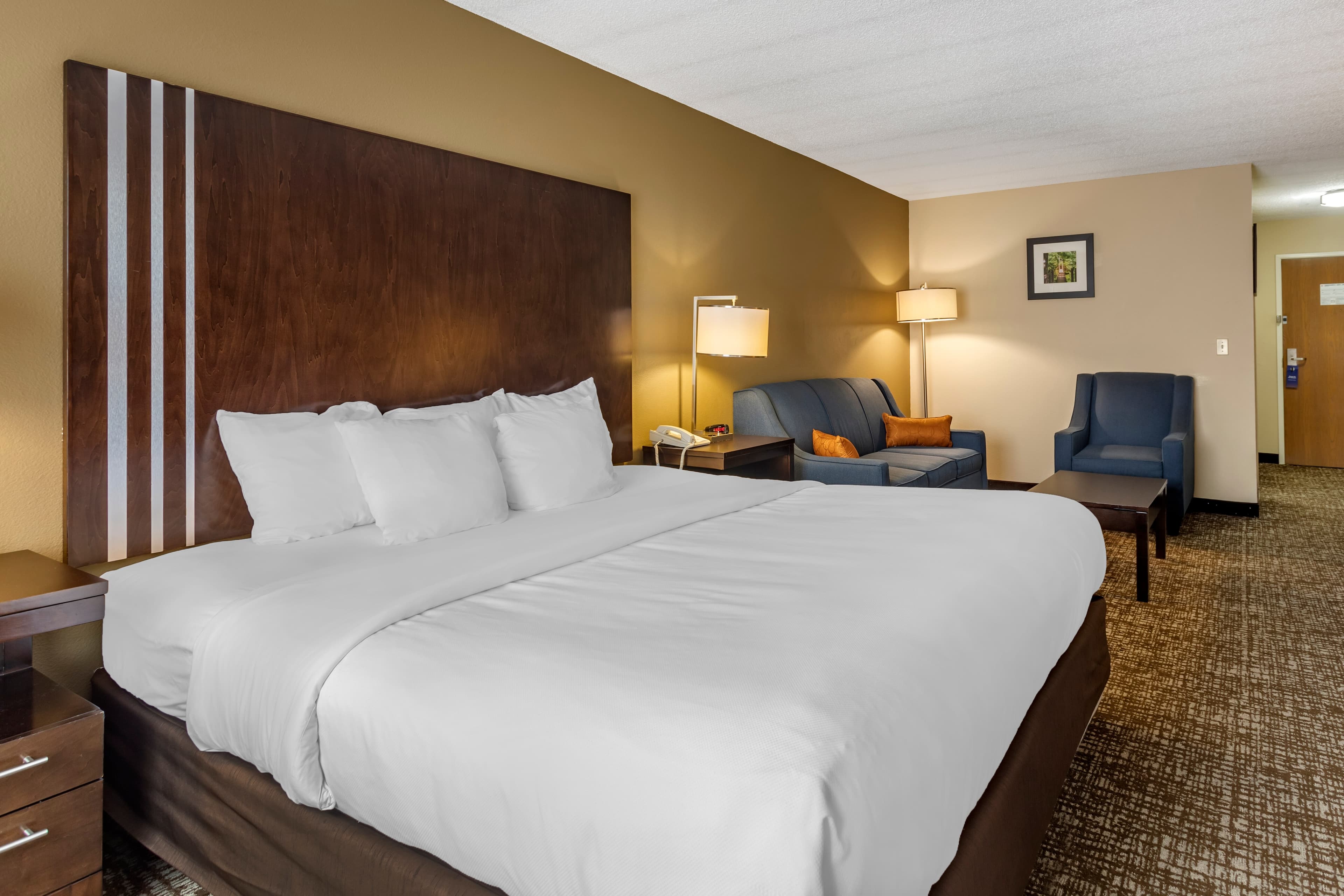 Comfort Inn Paducah I-24 — 17