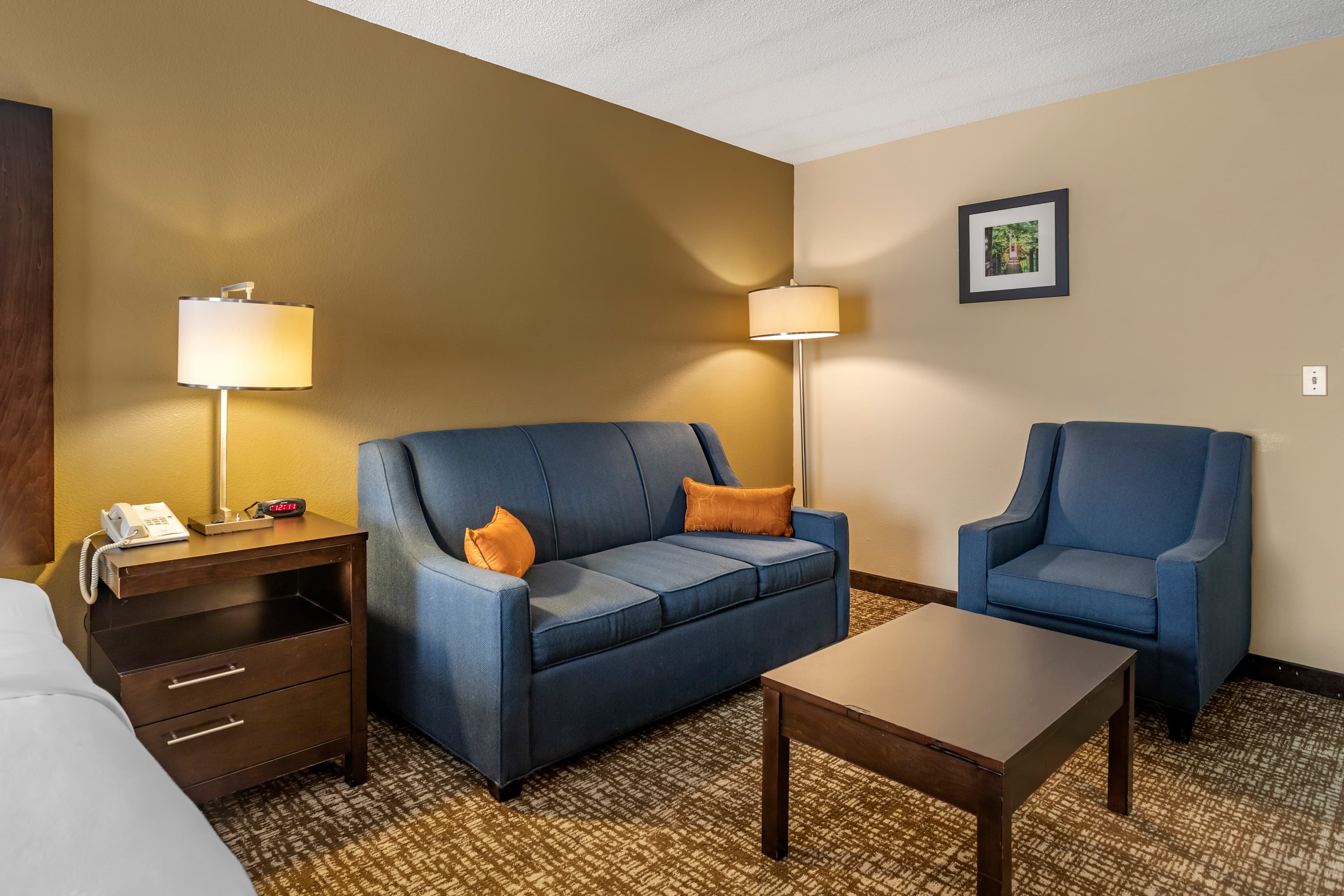 Comfort Inn Paducah I-24 — 19