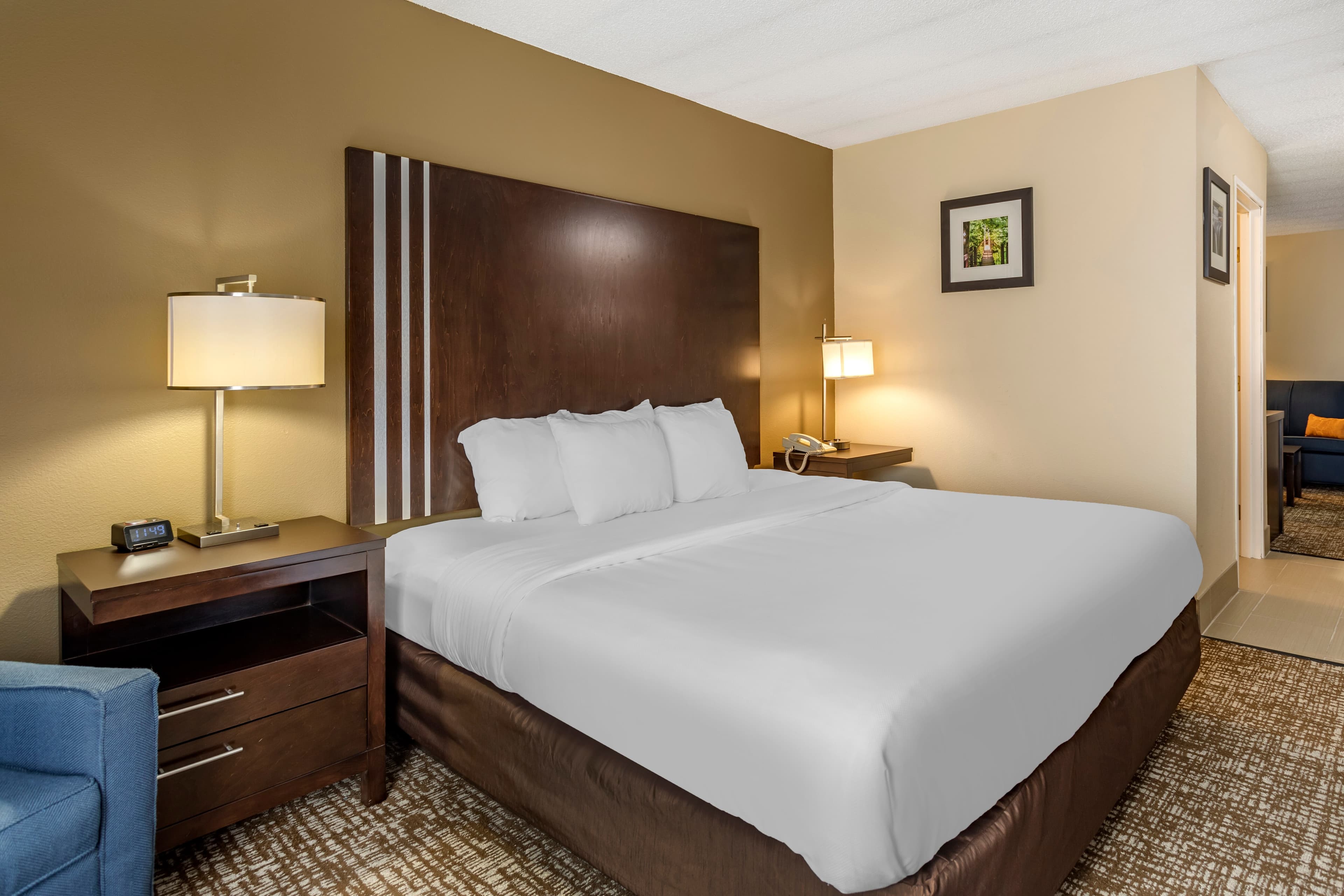 Comfort Inn Paducah I-24 — 29