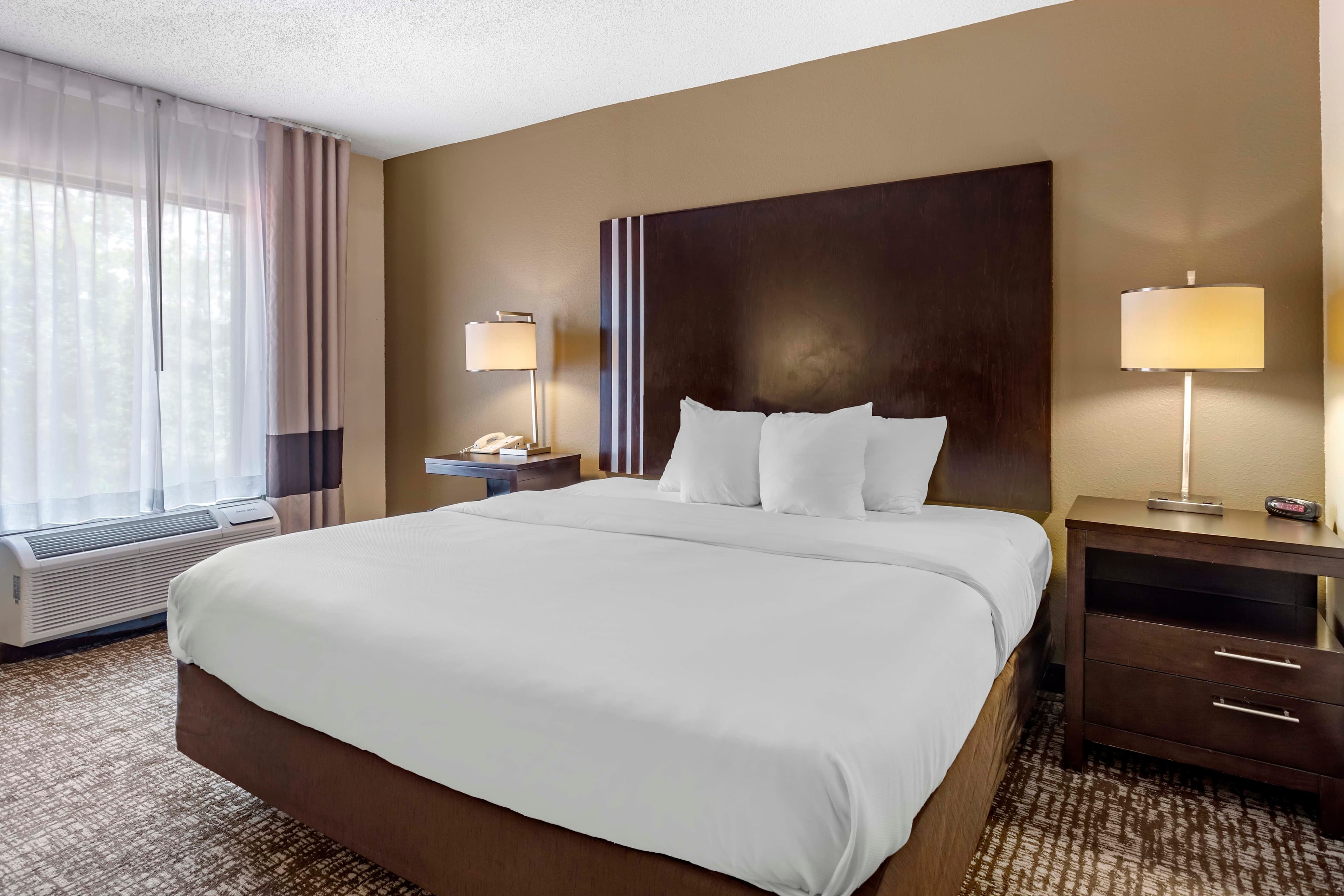 Comfort Inn Paducah I-24 — 13