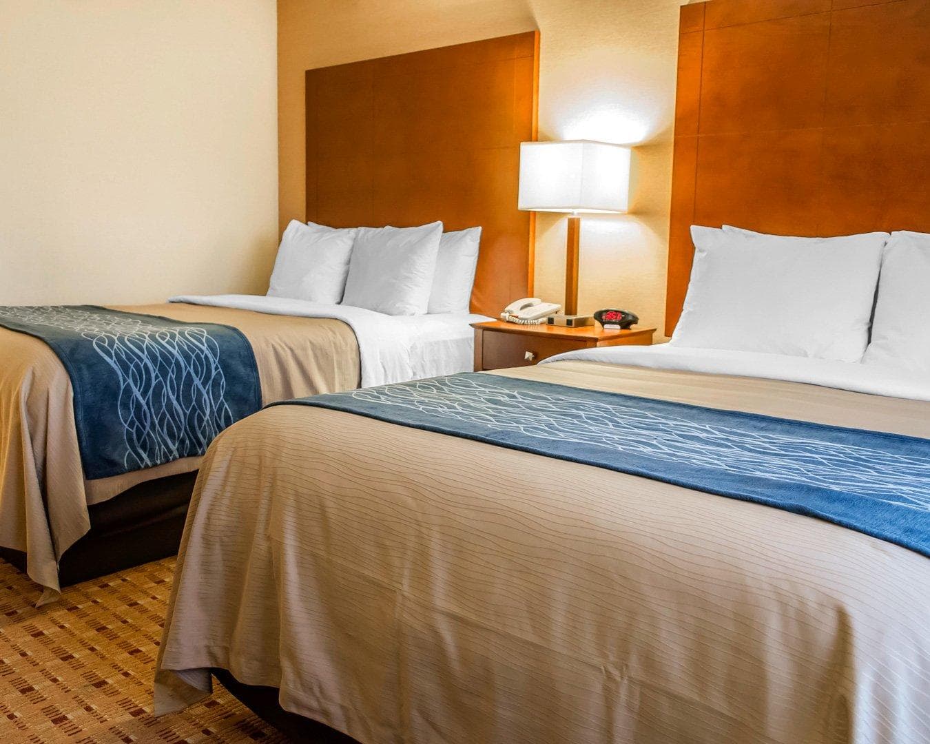 Comfort Inn & Suites Franklin East — 22