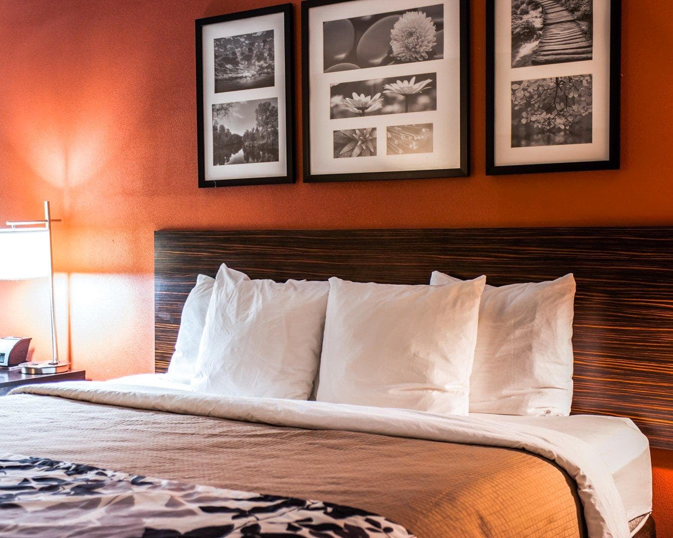 Sleep Inn & Suites Fort Campbell - Image 2