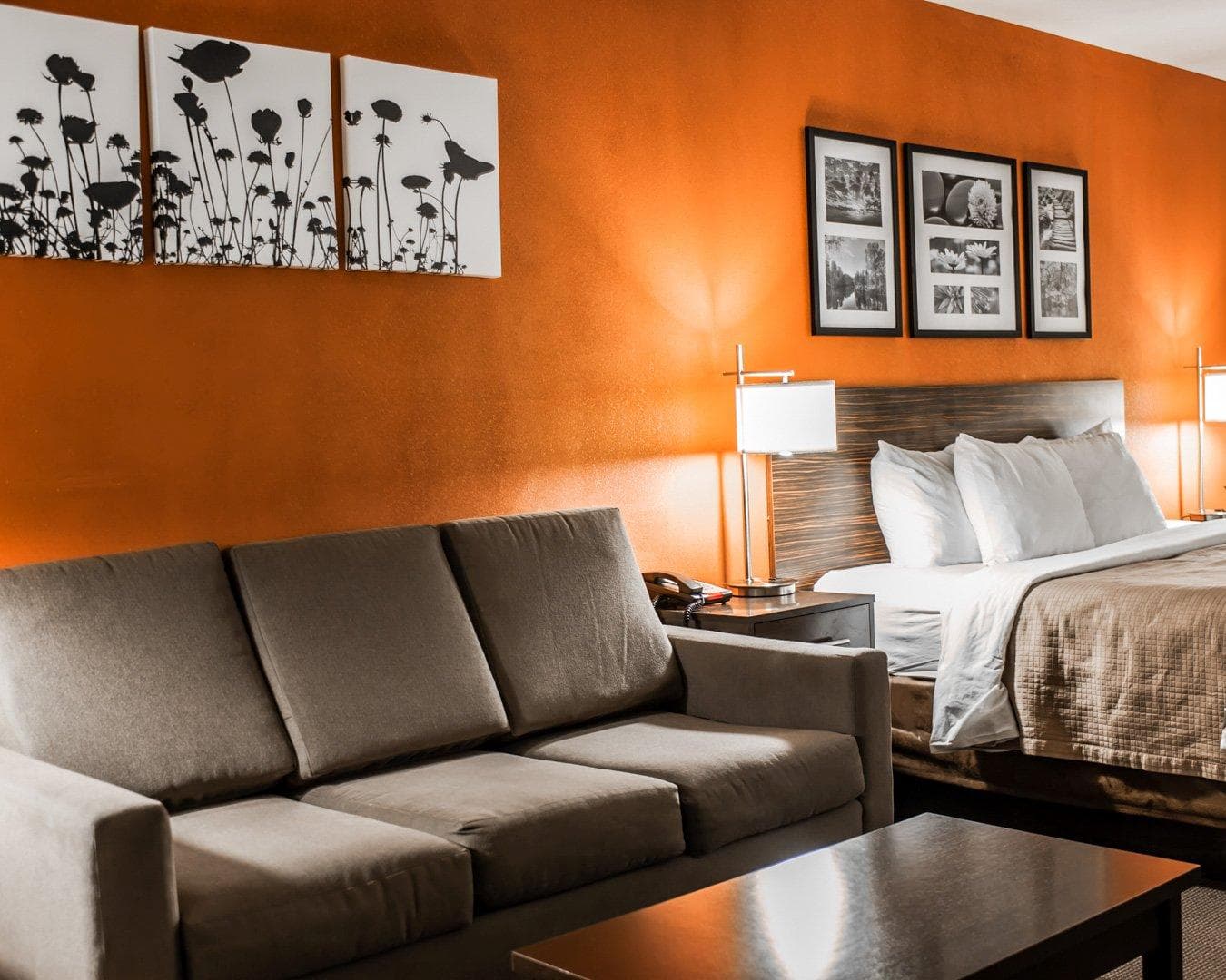 Sleep Inn & Suites Fort Campbell — 10