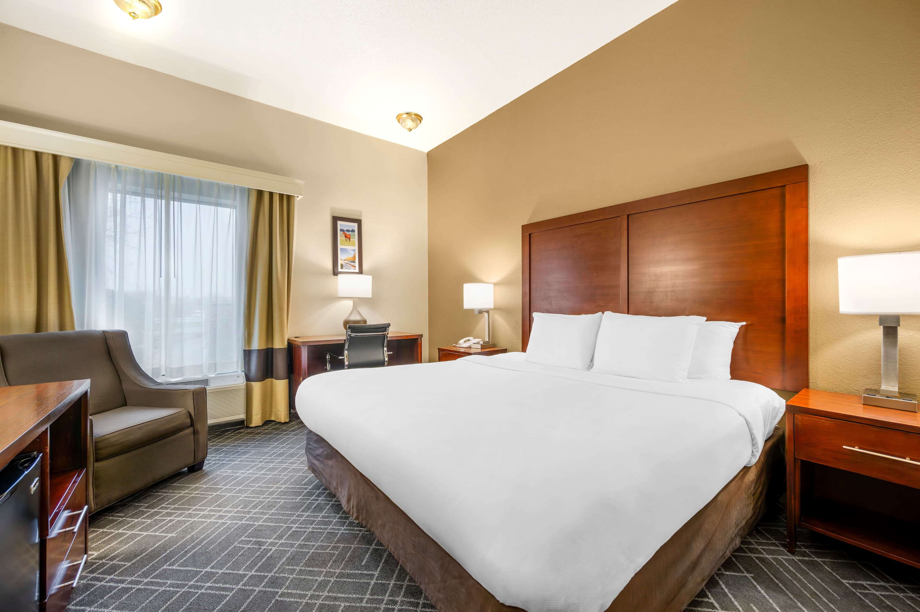 Comfort Inn Airport Turfway Road - Image 4