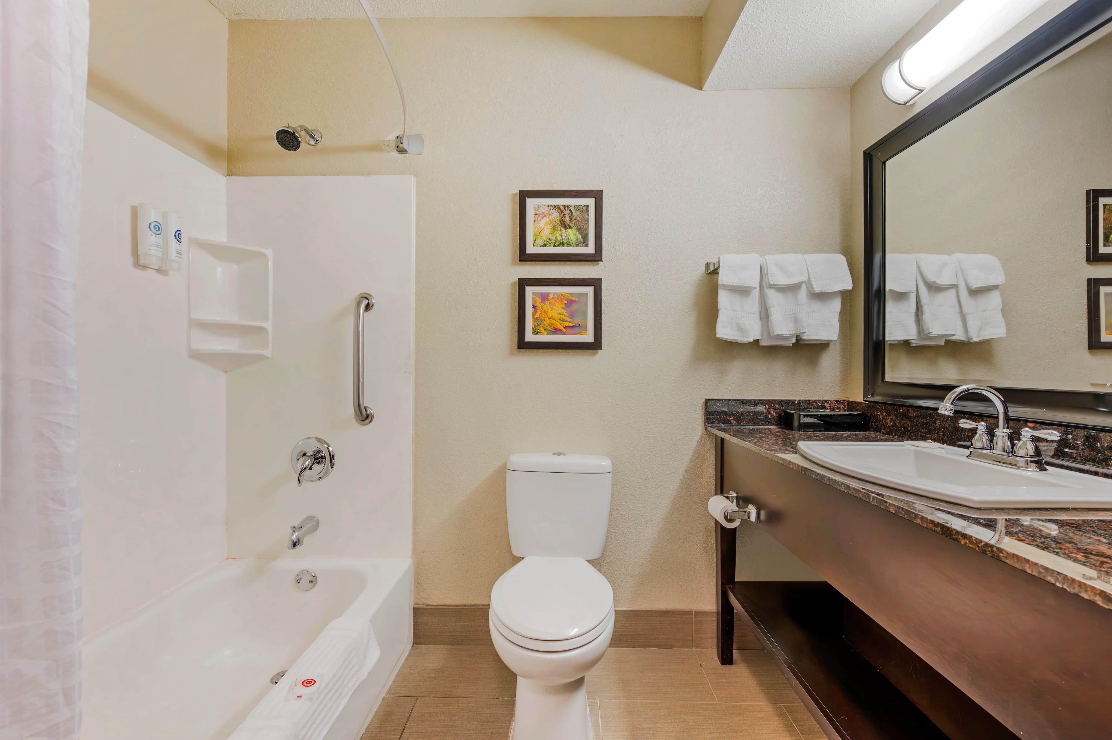 Comfort Inn Airport Turfway Road — 11