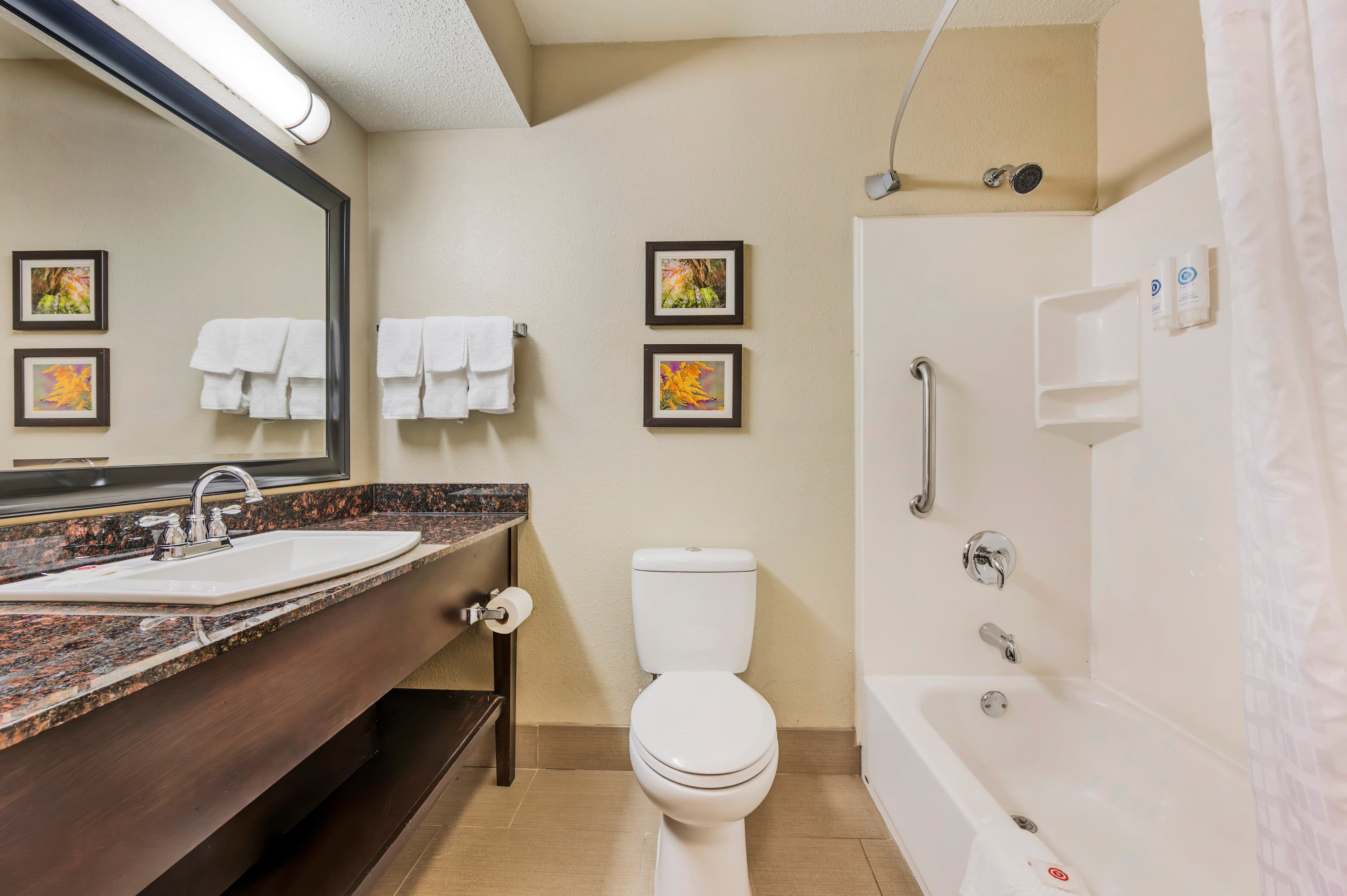 Comfort Inn Airport Turfway Road — 15