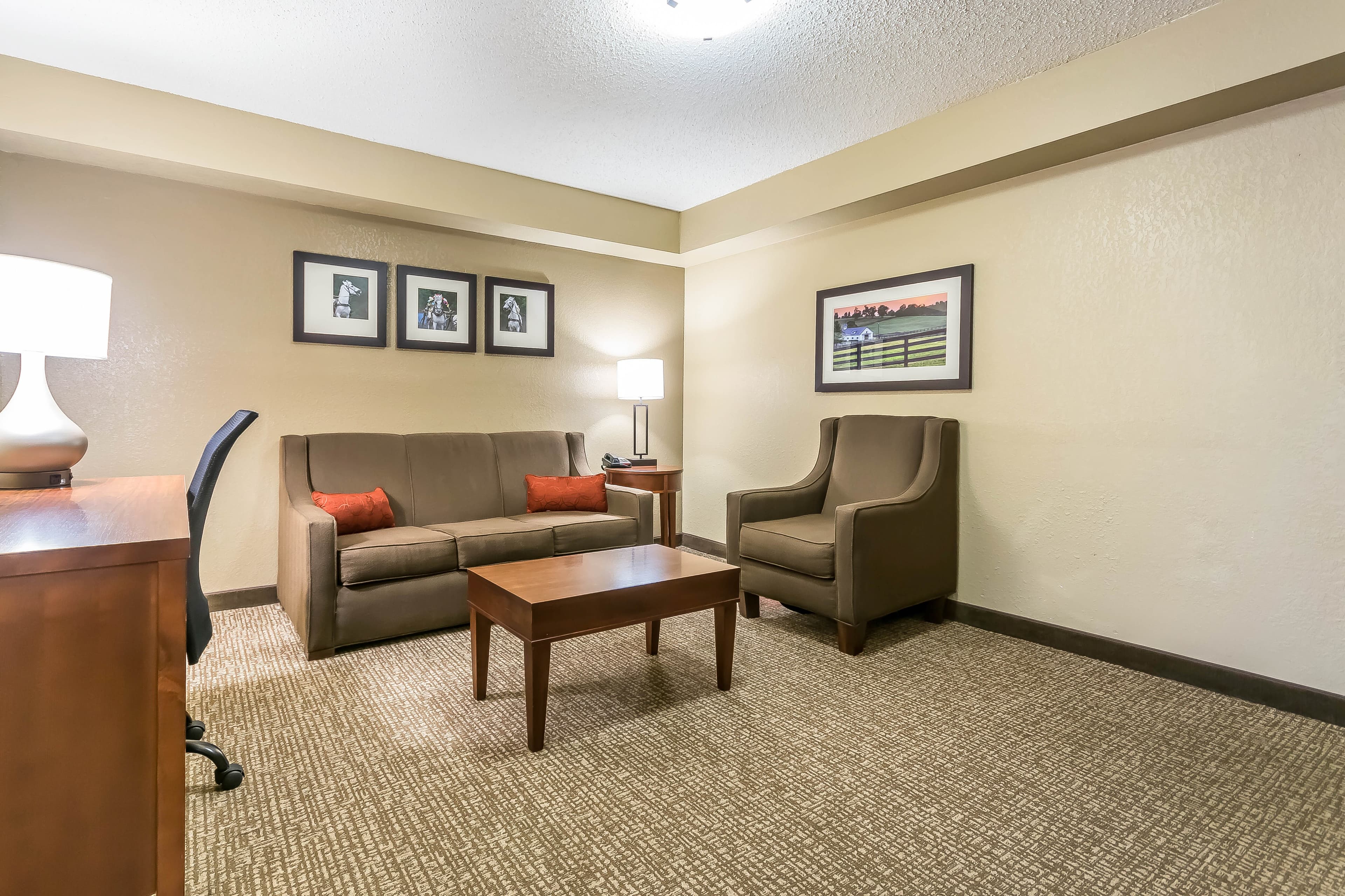 Comfort Inn & Suites Lexington - Hamburg I-75 — 22