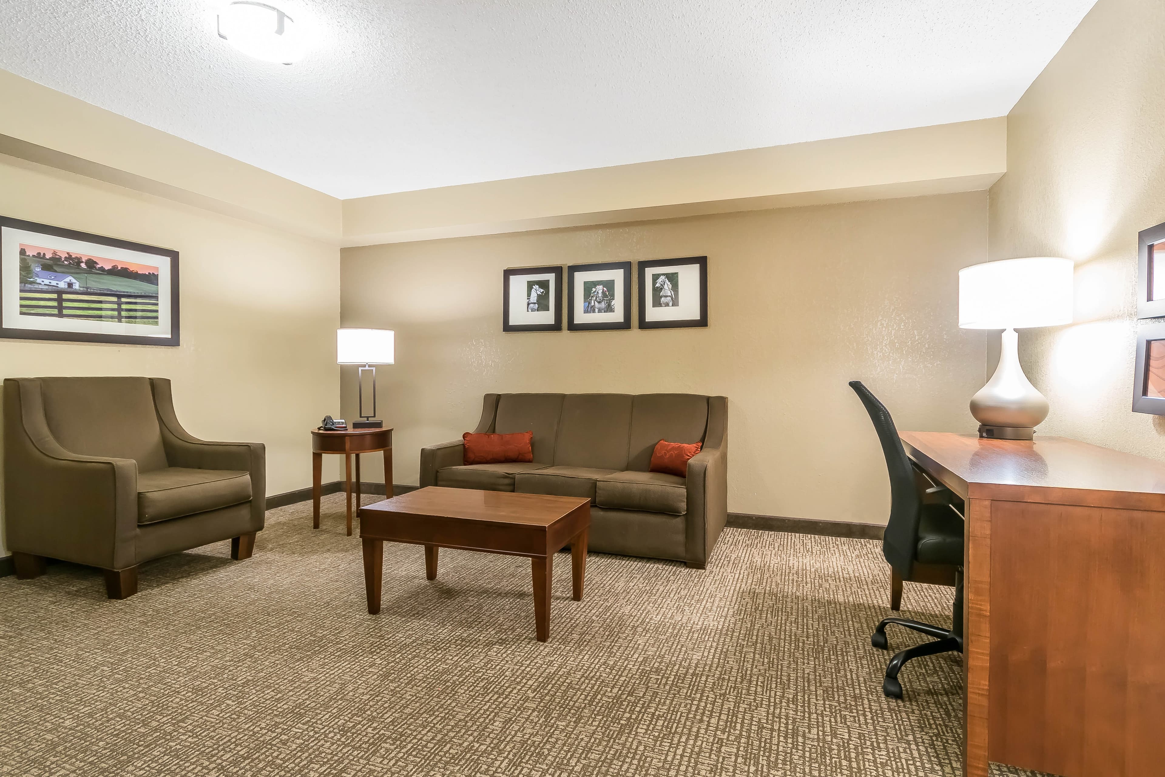 Comfort Inn & Suites Lexington - Hamburg I-75 — 24