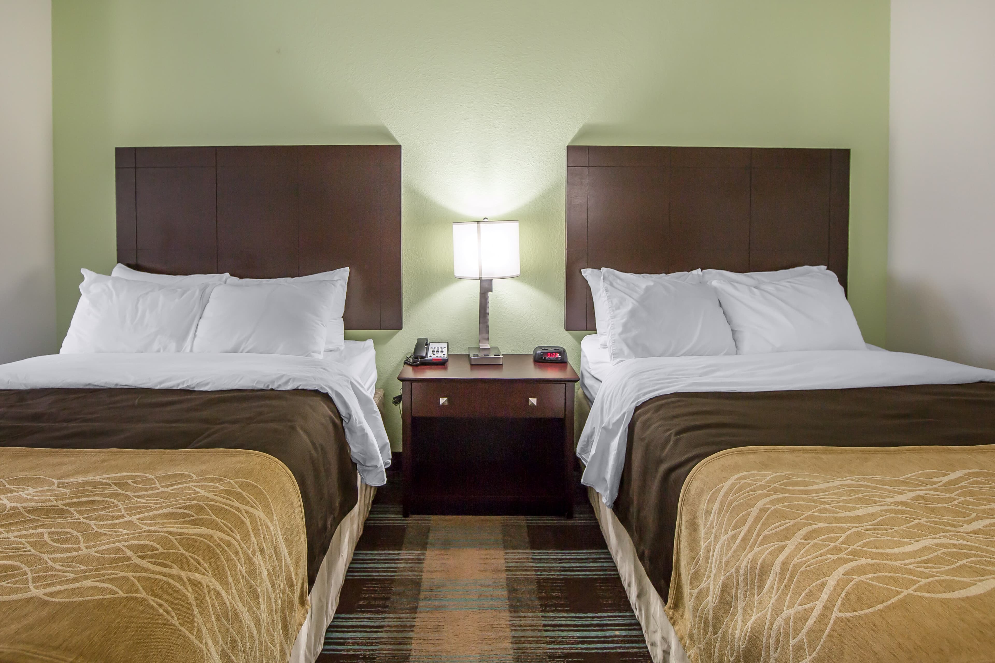 Comfort Inn Lexington South - Image 2