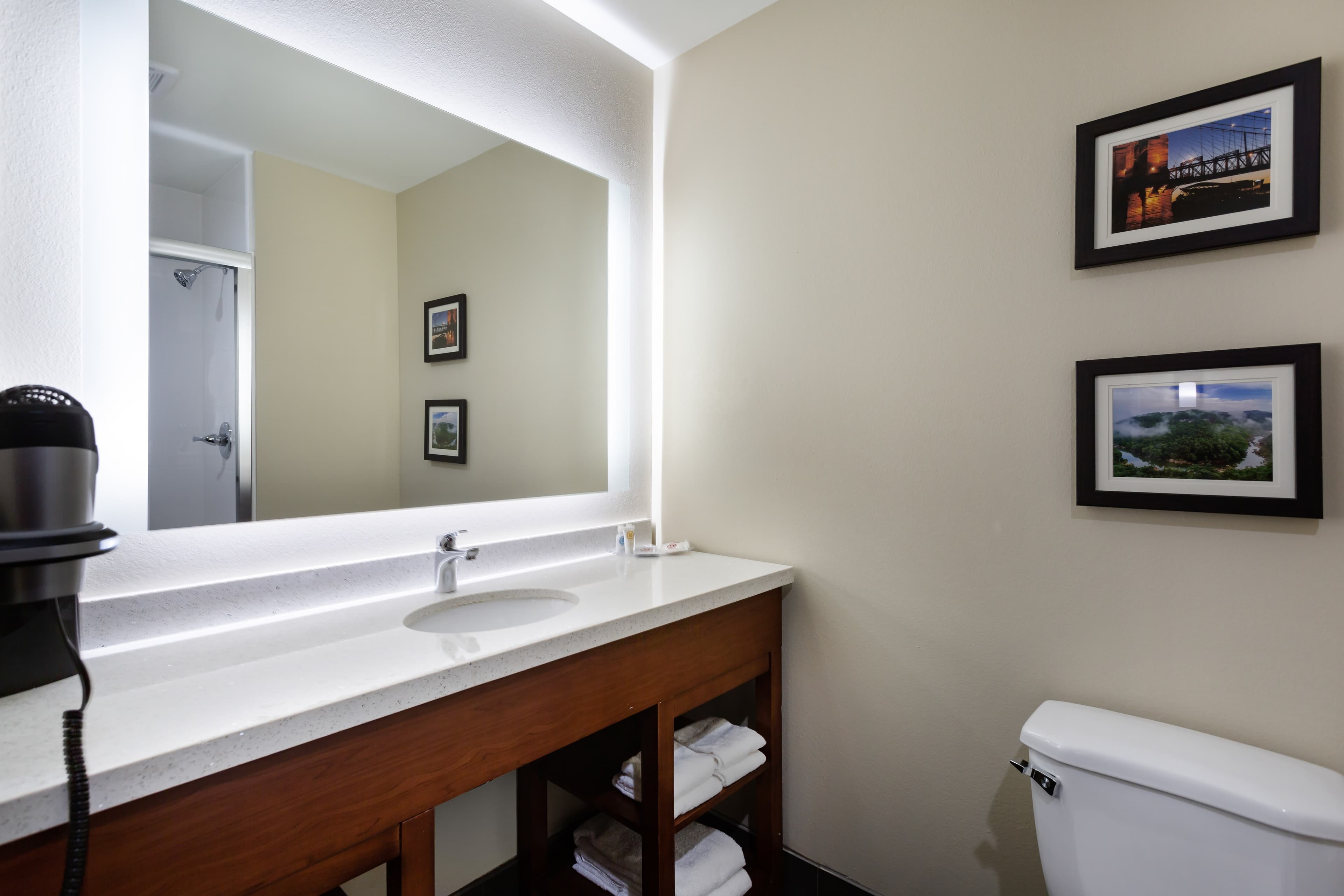 Comfort Suites Bowling Green Southeast - Image 5