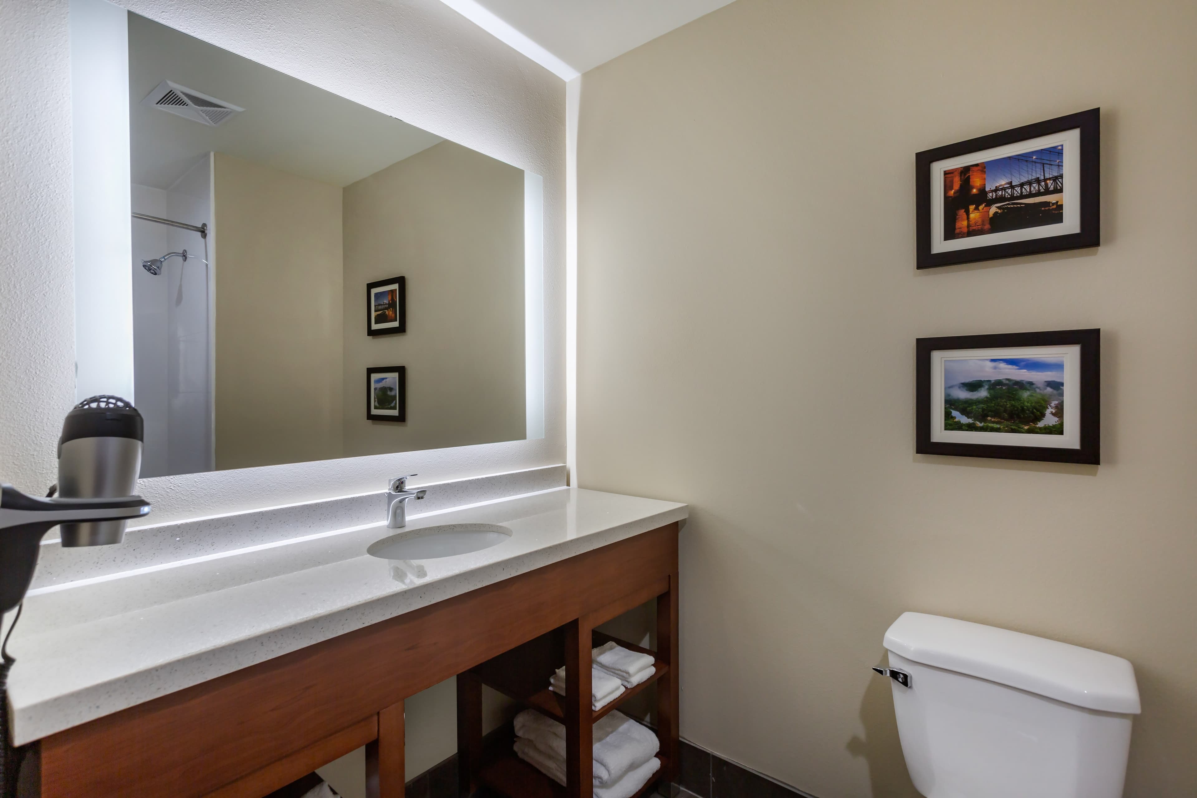 Comfort Suites Bowling Green Southeast — 19