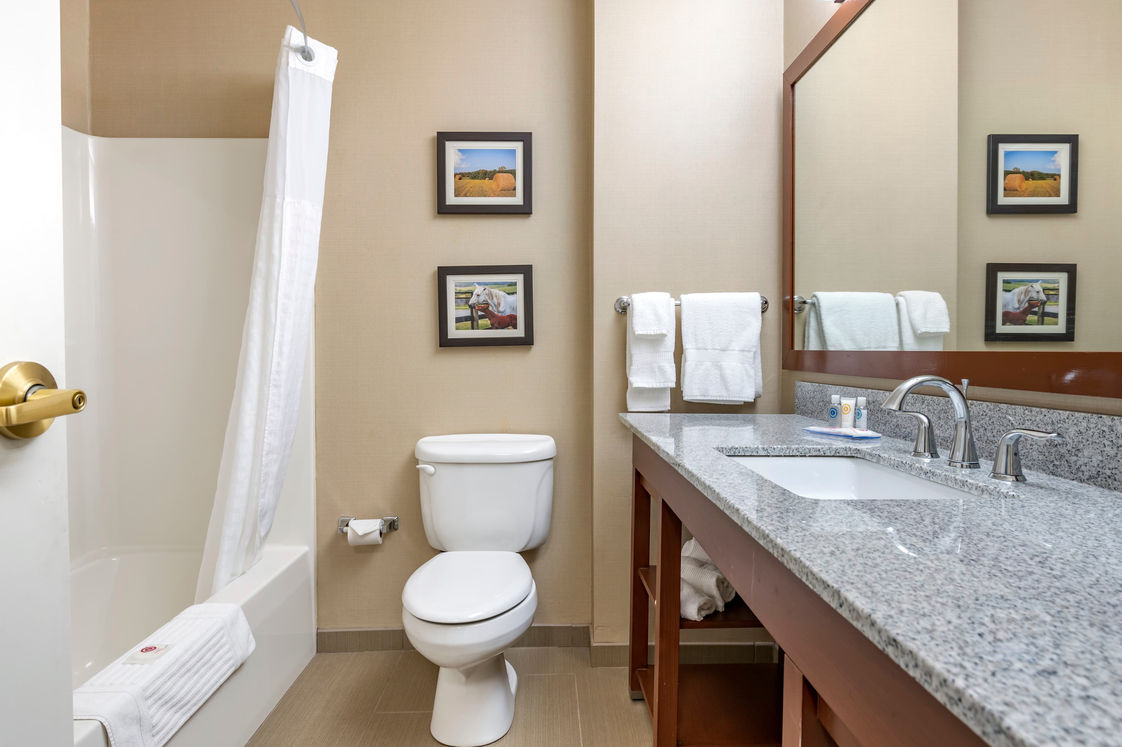 Comfort Inn & Suites Northern Kentucky - Image 5