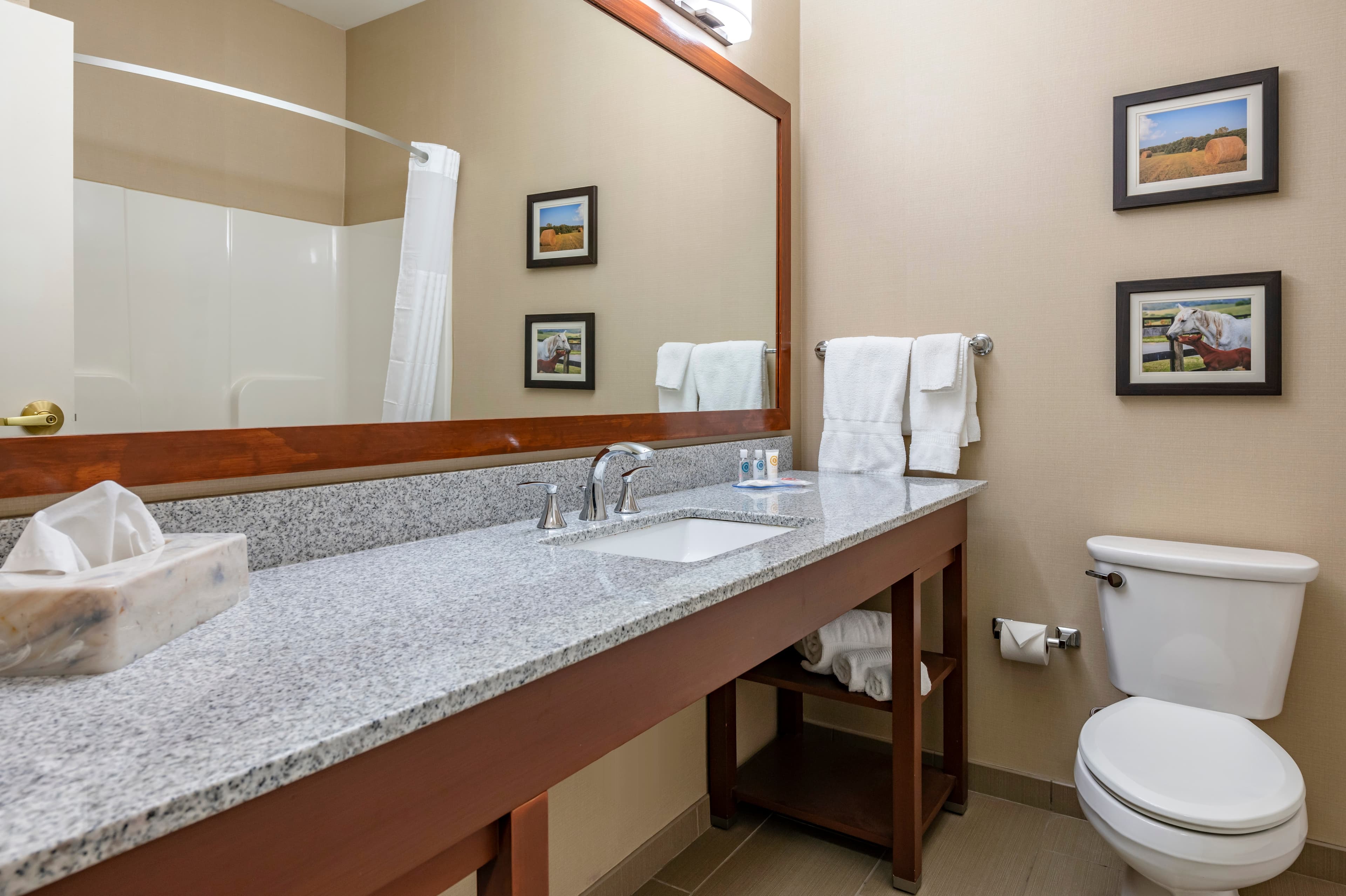Comfort Inn & Suites Northern Kentucky — 13