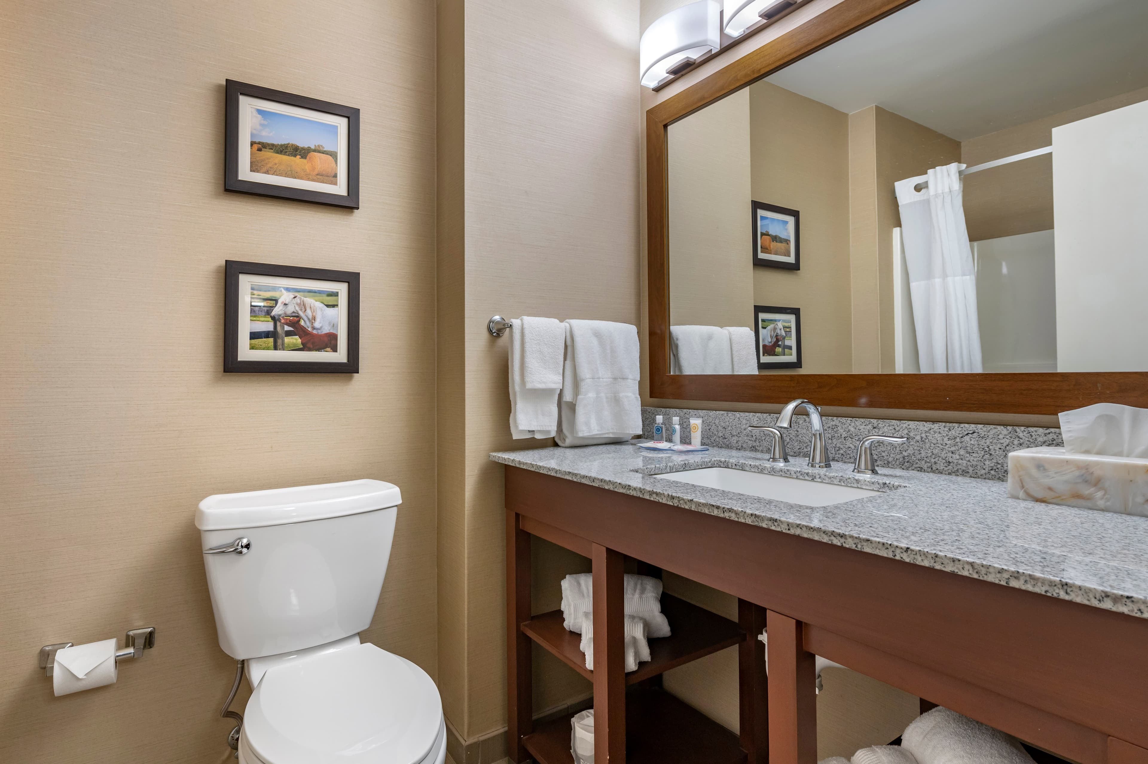 Comfort Inn & Suites Northern Kentucky — 25