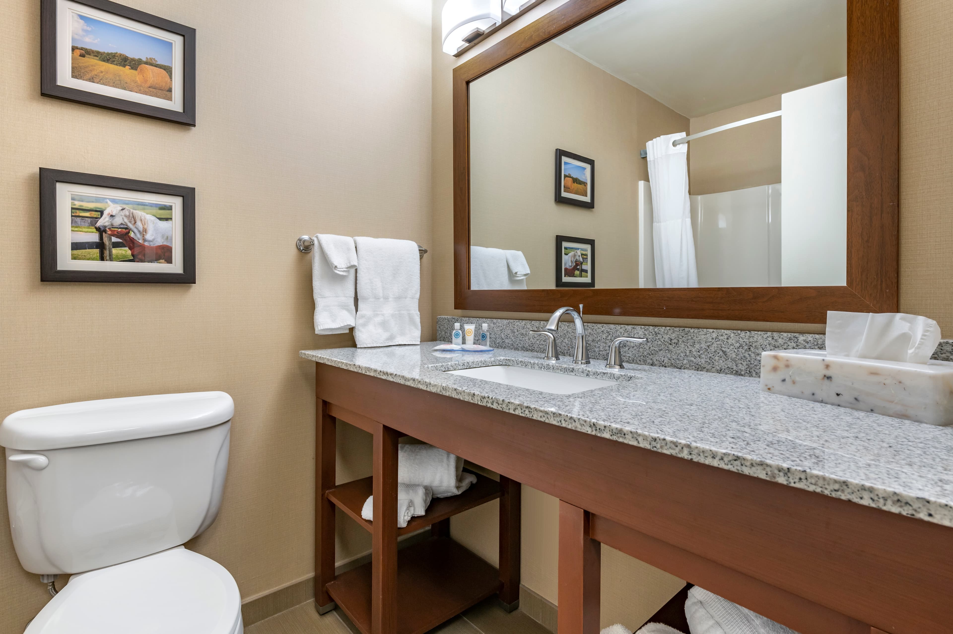 Comfort Inn & Suites Northern Kentucky — 33