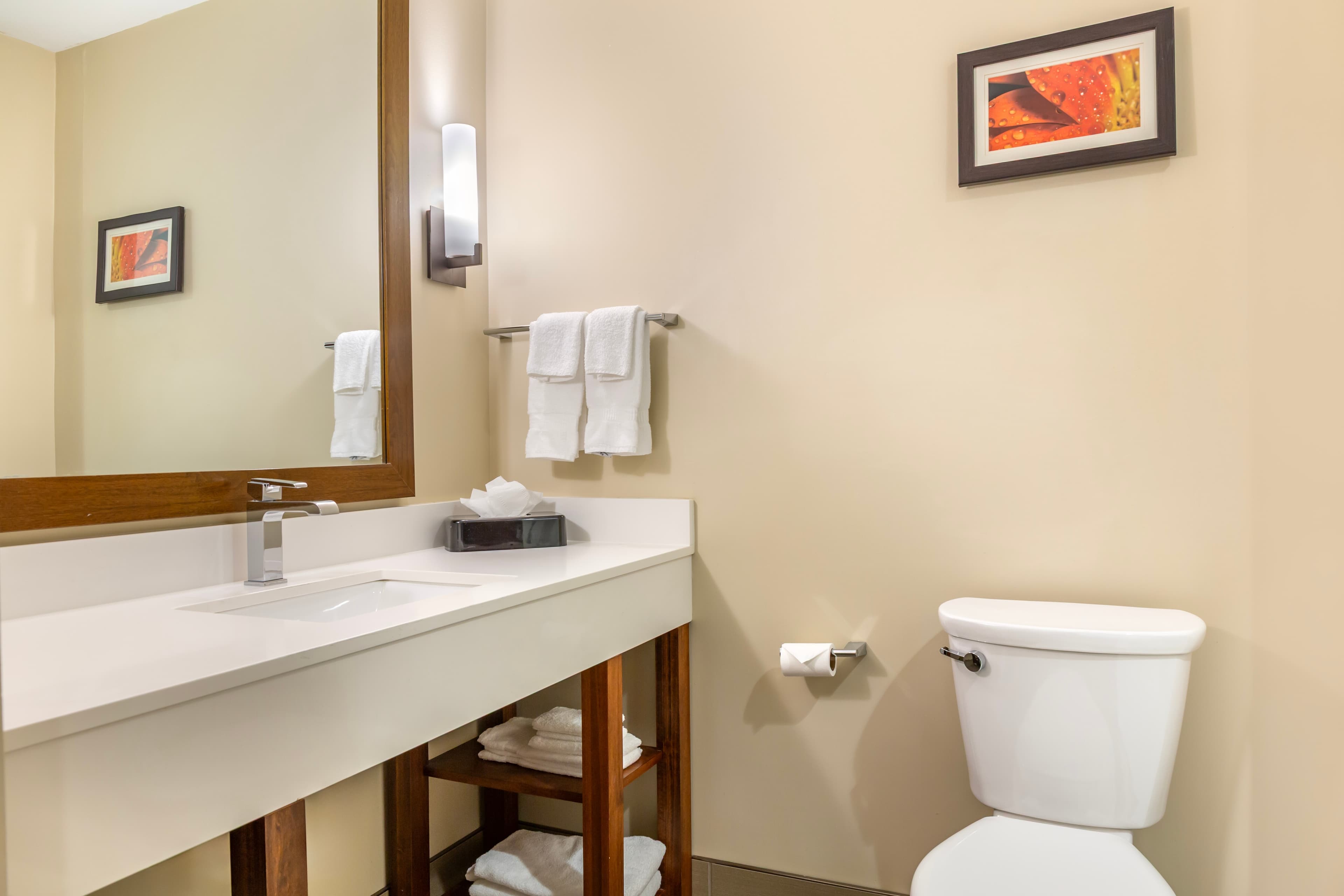 Comfort Suites Florence - Cincinnati South — 40