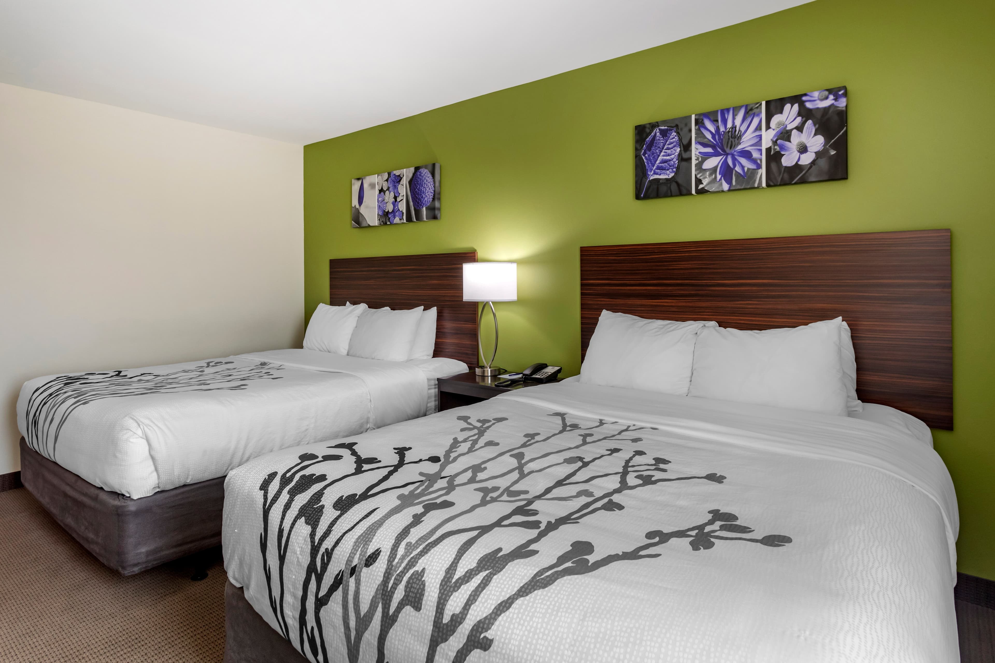 Sleep Inn Bowling Green North — 11