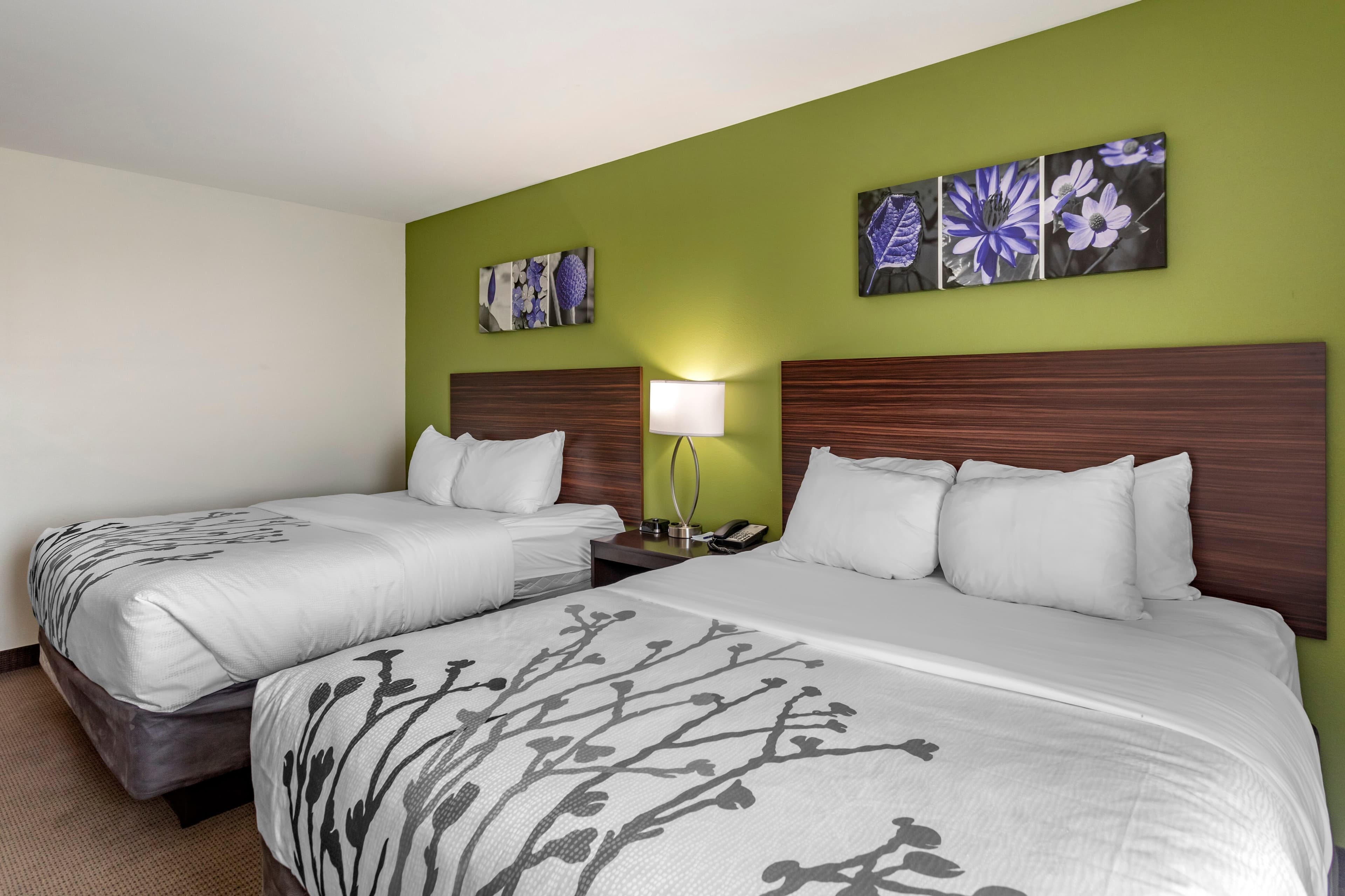 Sleep Inn Bowling Green North — 23