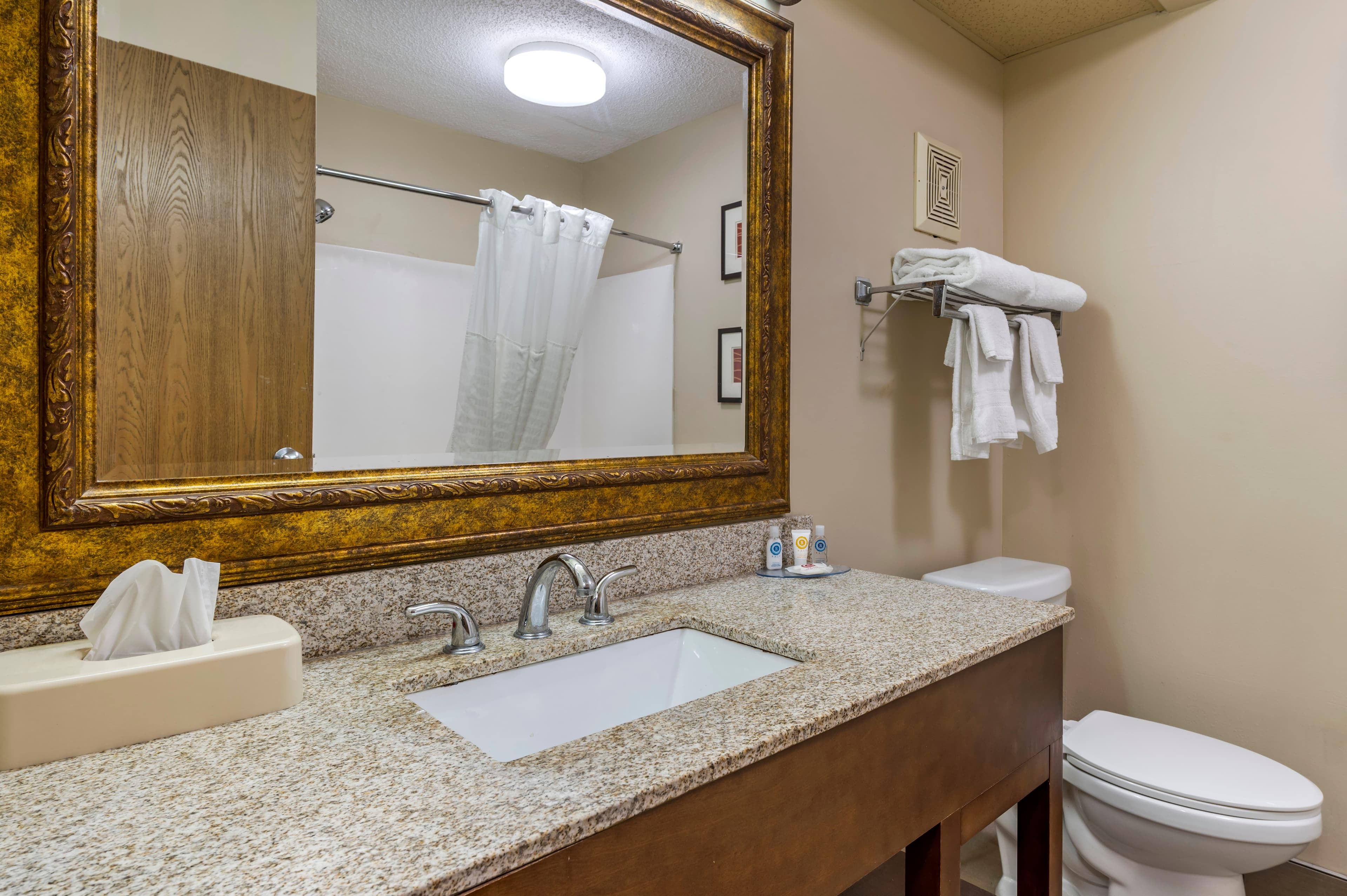 Comfort Inn Lexington I-75 — 5