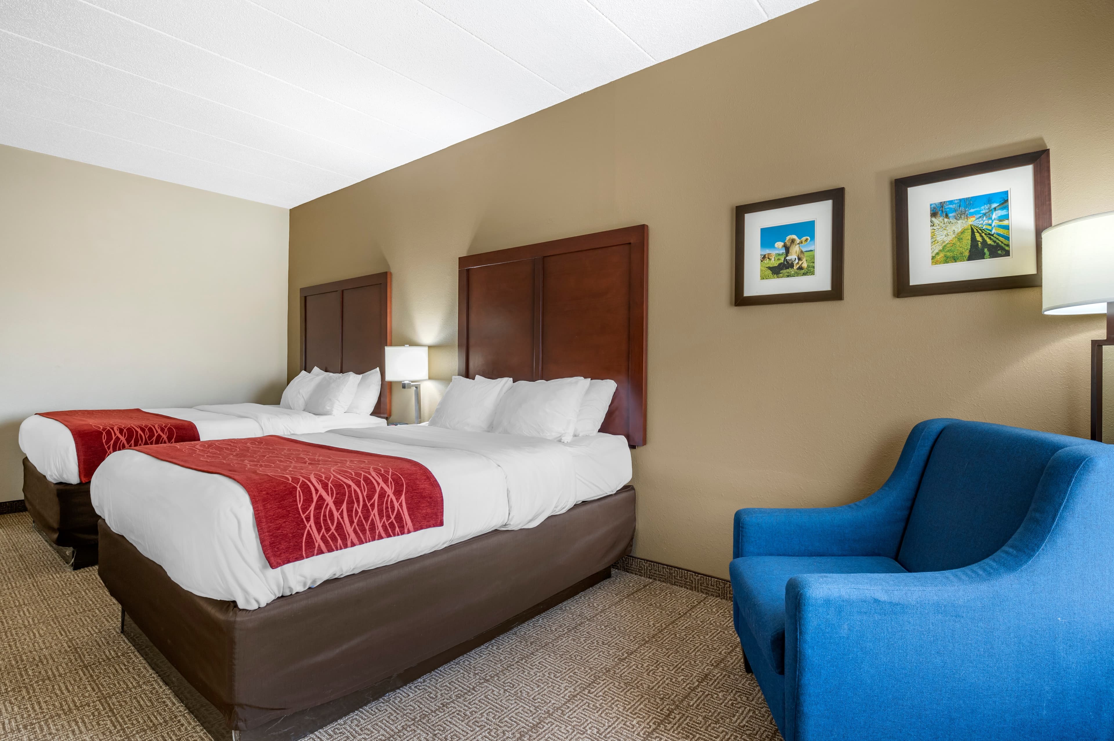 Comfort Inn Lexington I-75 — 12