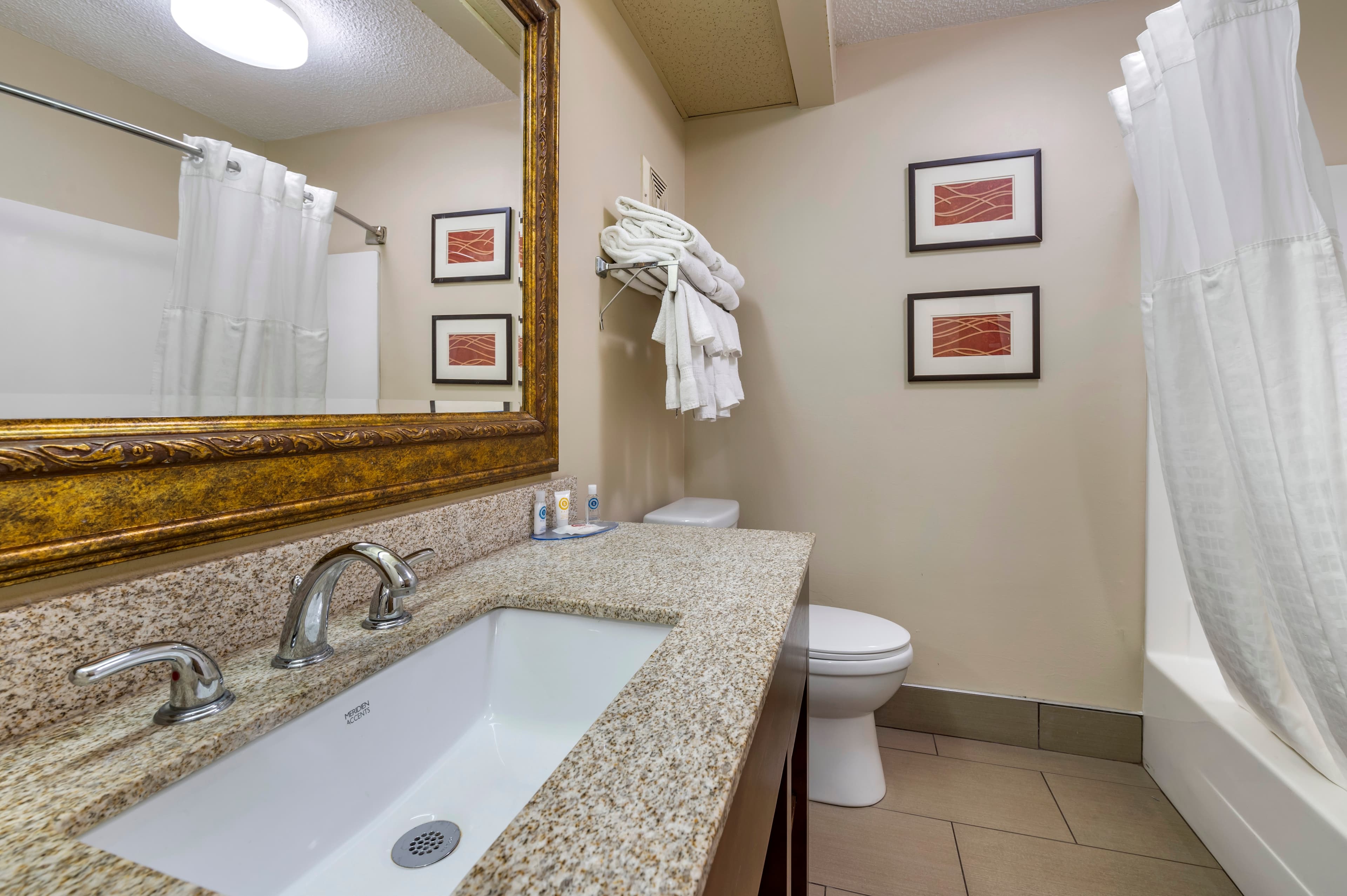 Comfort Inn Lexington I-75 — 13