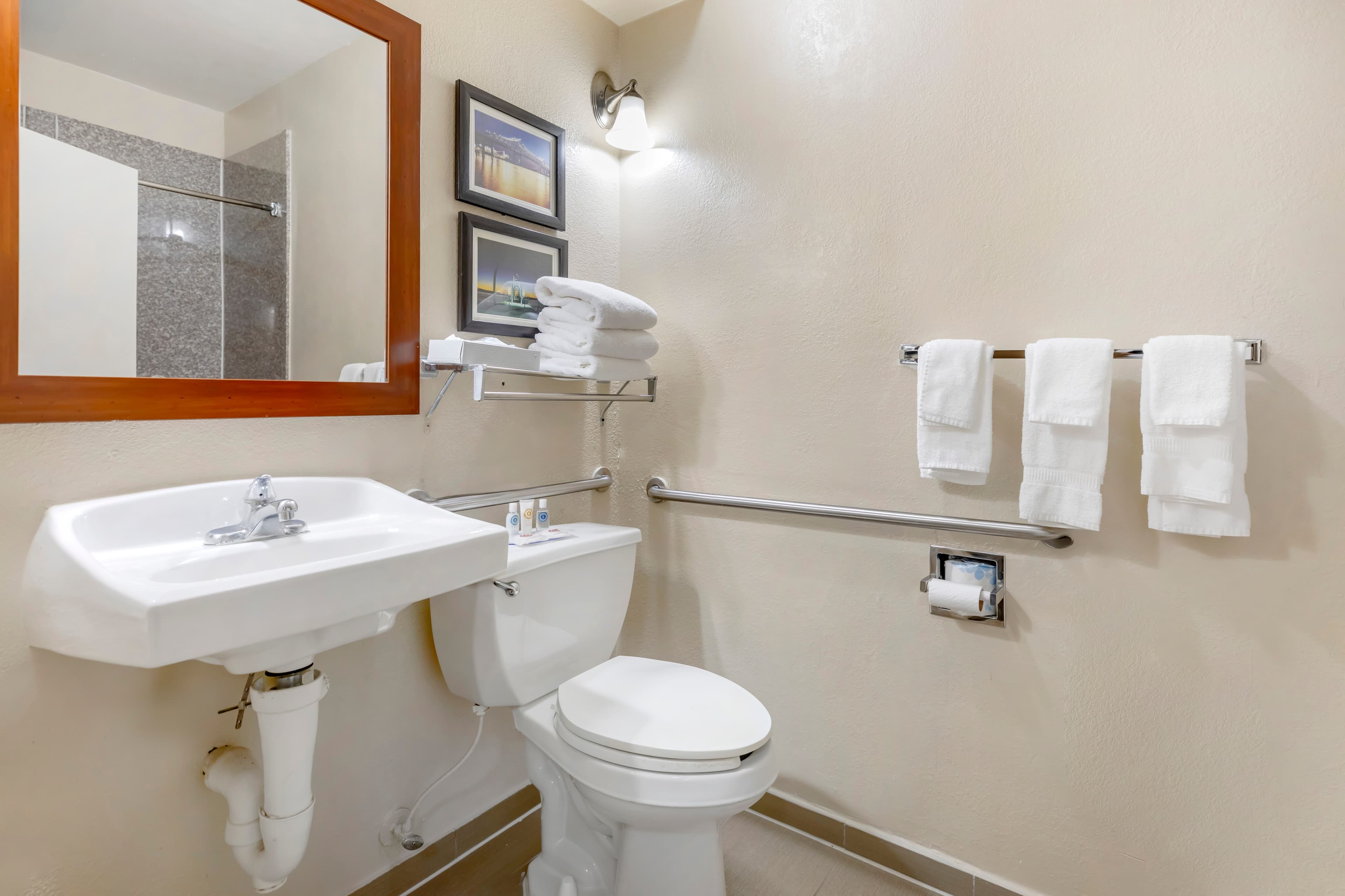 Comfort Suites Port Allen - Baton Rouge - Image 5