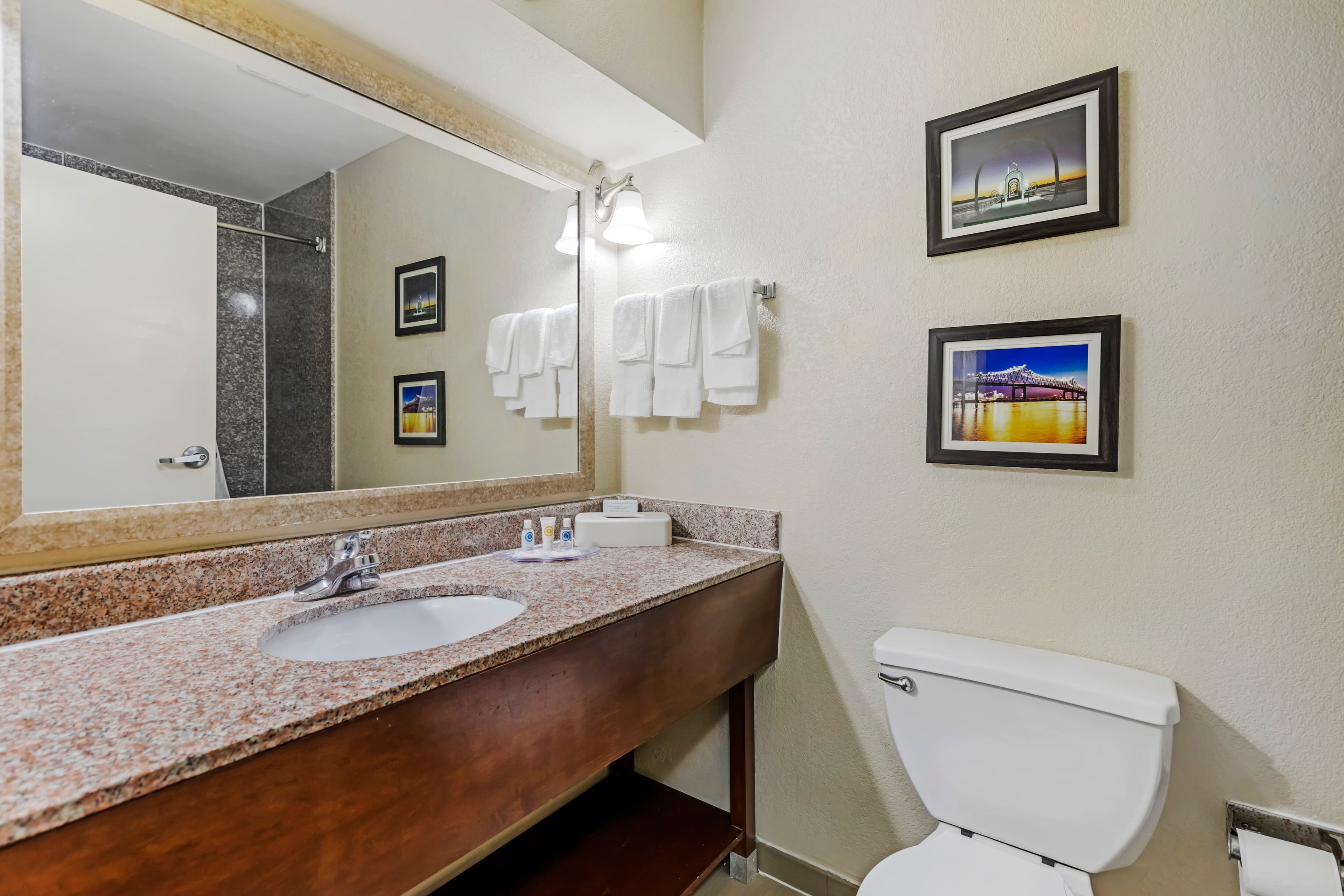 Comfort Suites Port Allen - Baton Rouge — 9