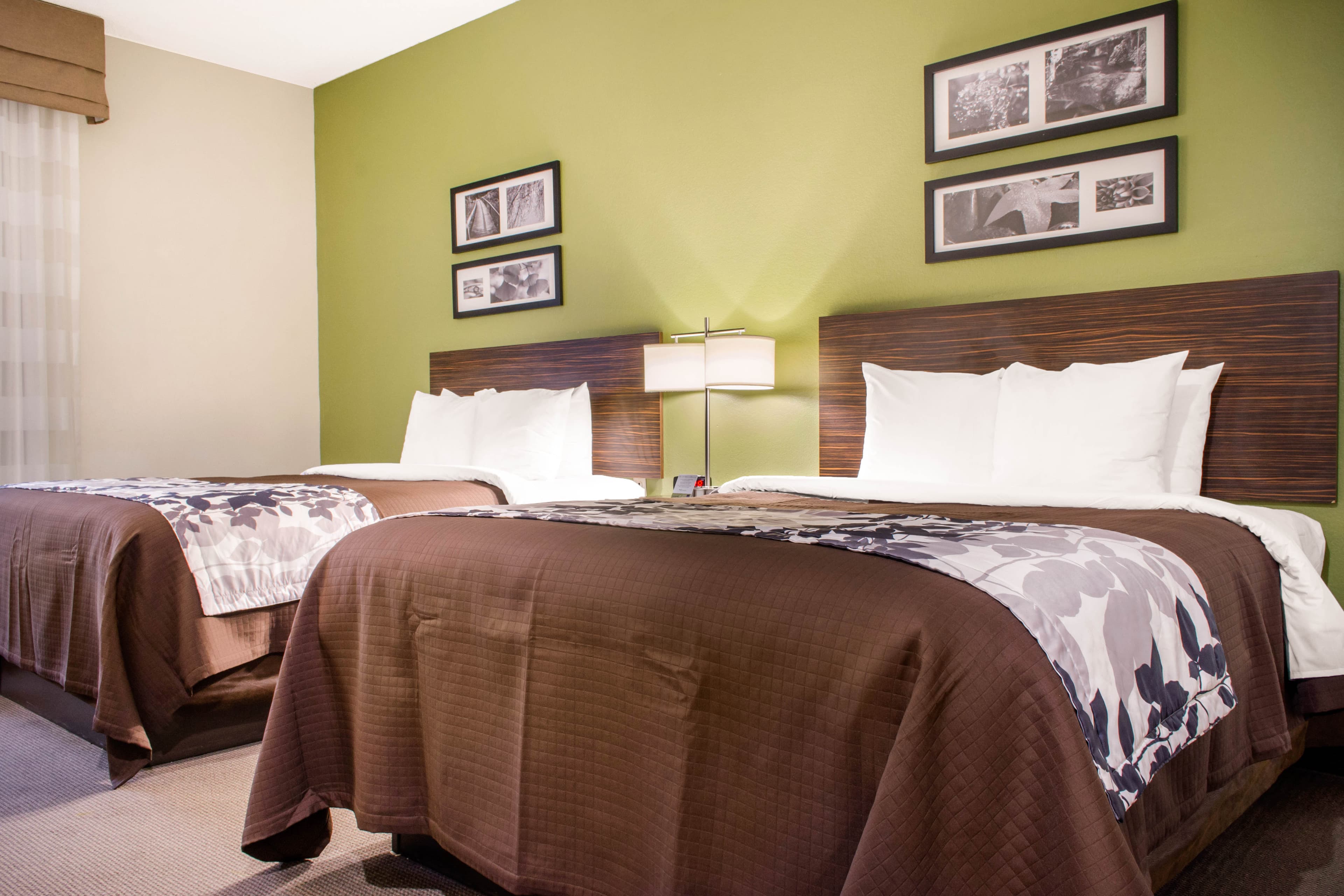 Sleep Inn & Suites Metairie - New Orleans West - Image 5