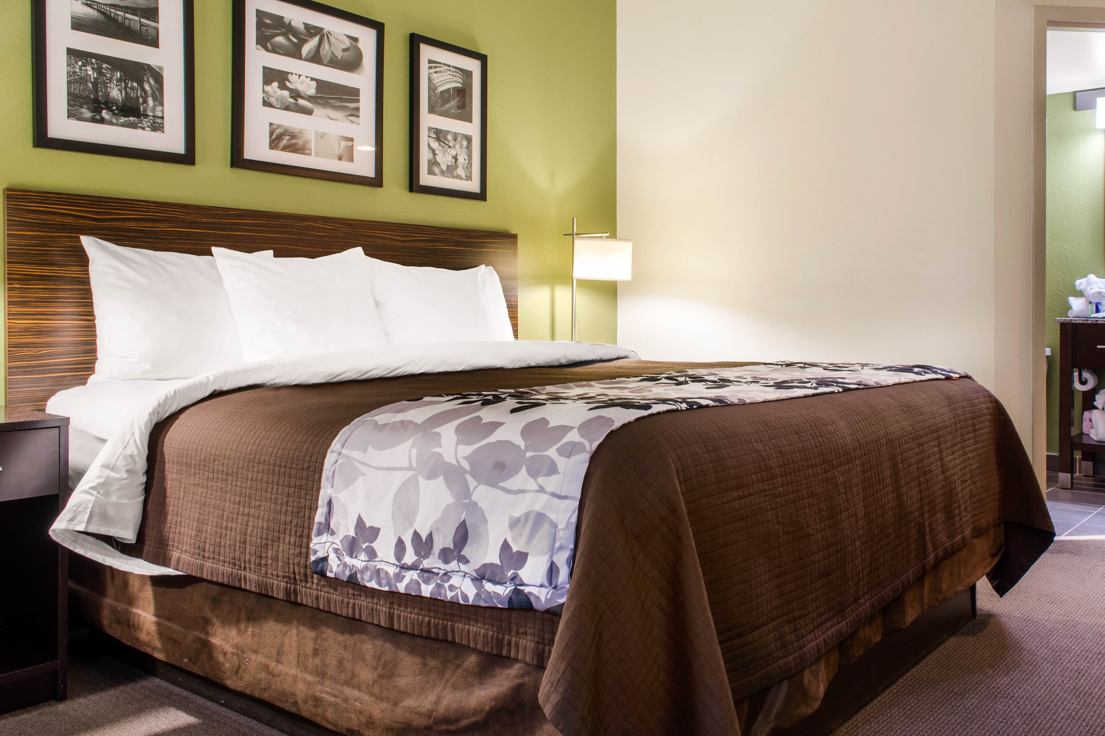 Sleep Inn & Suites Metairie - New Orleans West - Image 1