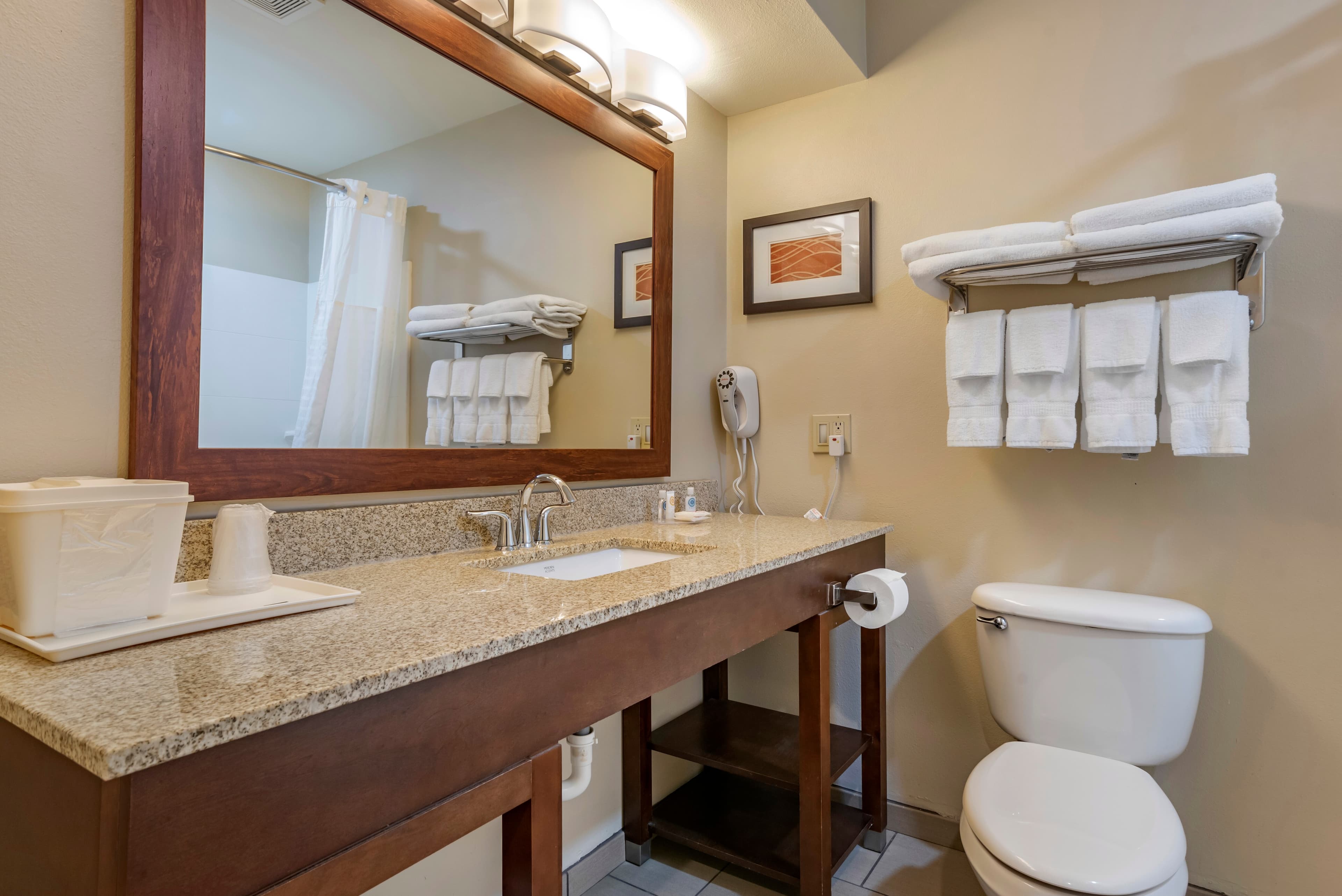 Comfort Inn Amite City — 14