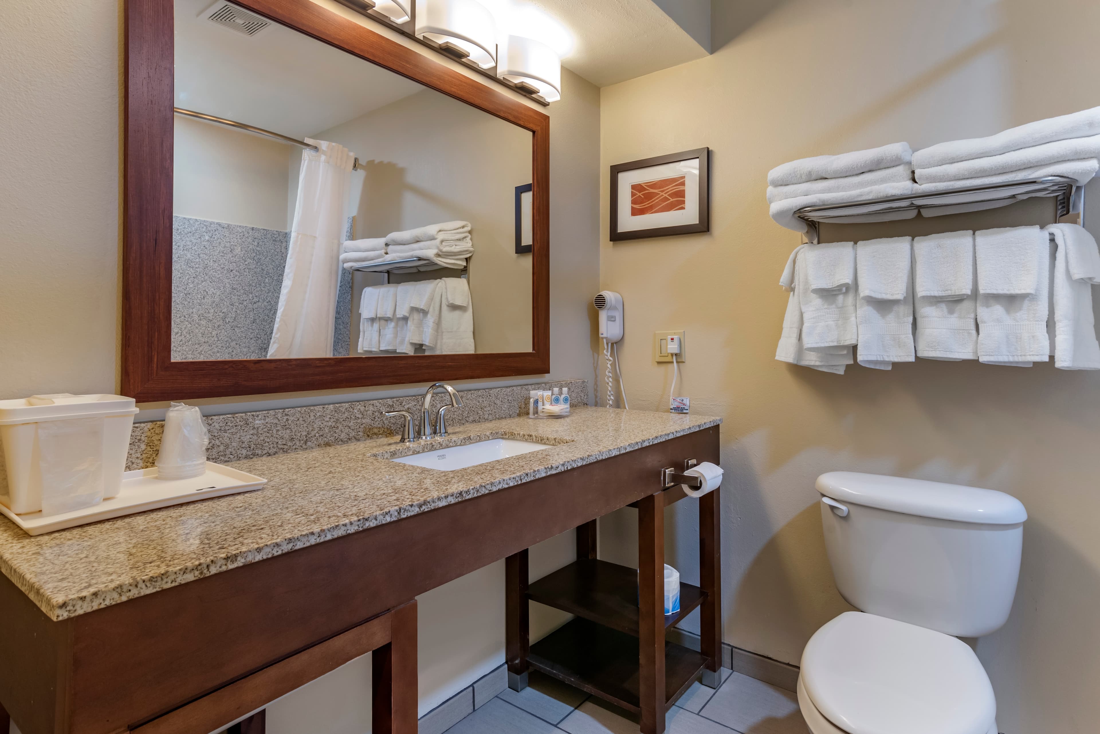 Comfort Inn Amite City — 18