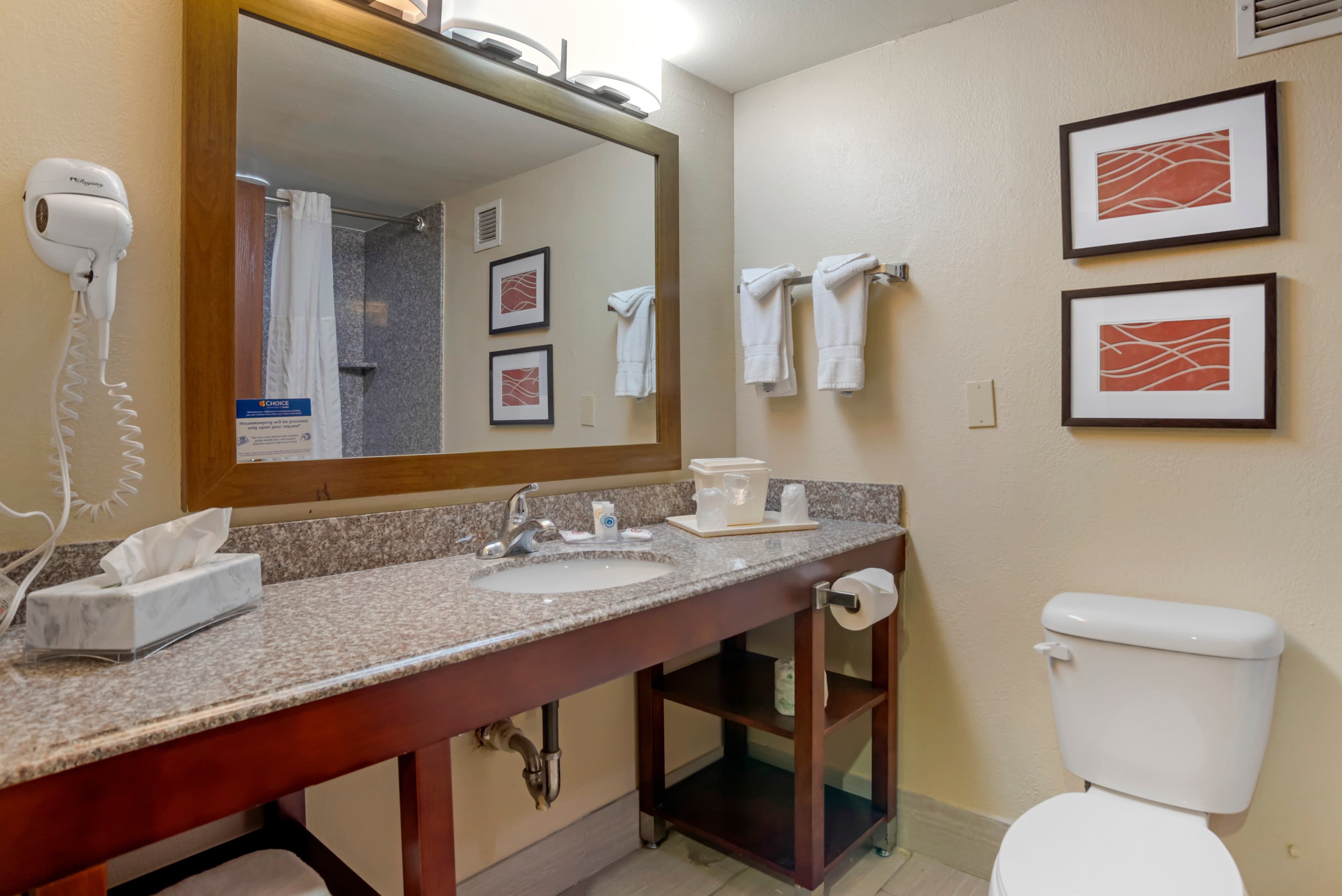 Comfort Inn University Area — 9