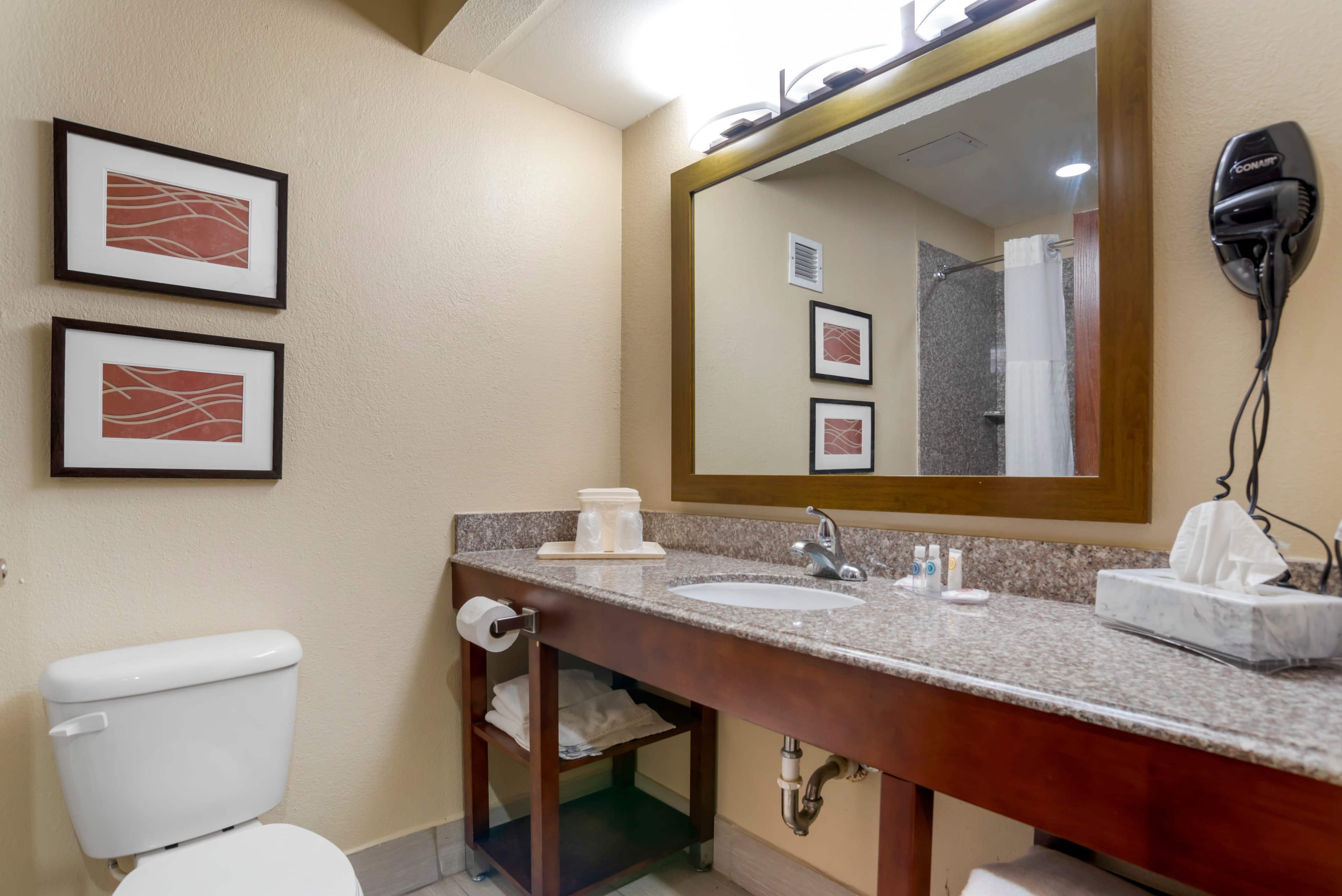 Comfort Inn University Area — 13