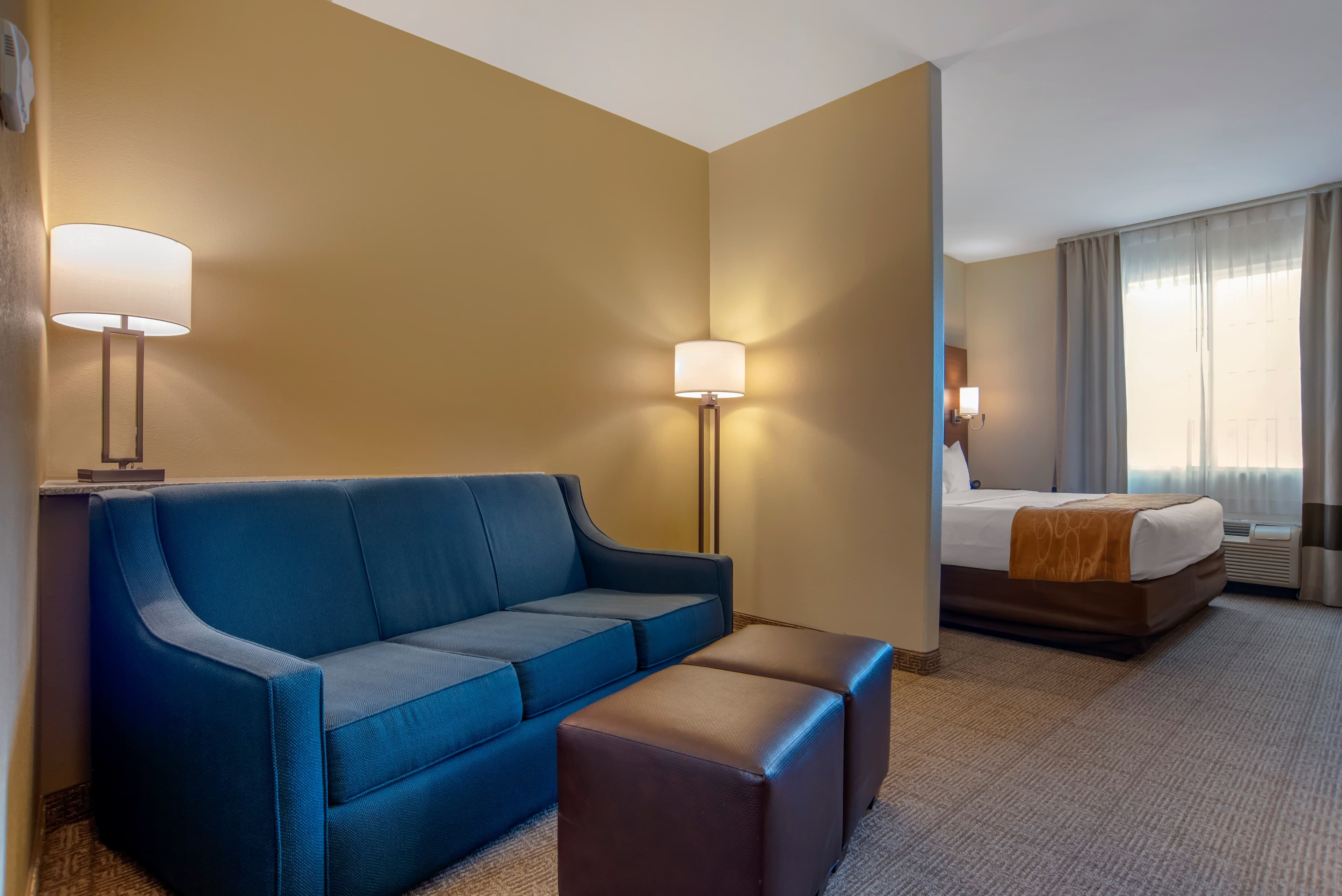 Comfort Suites Alexandria North - Image 3