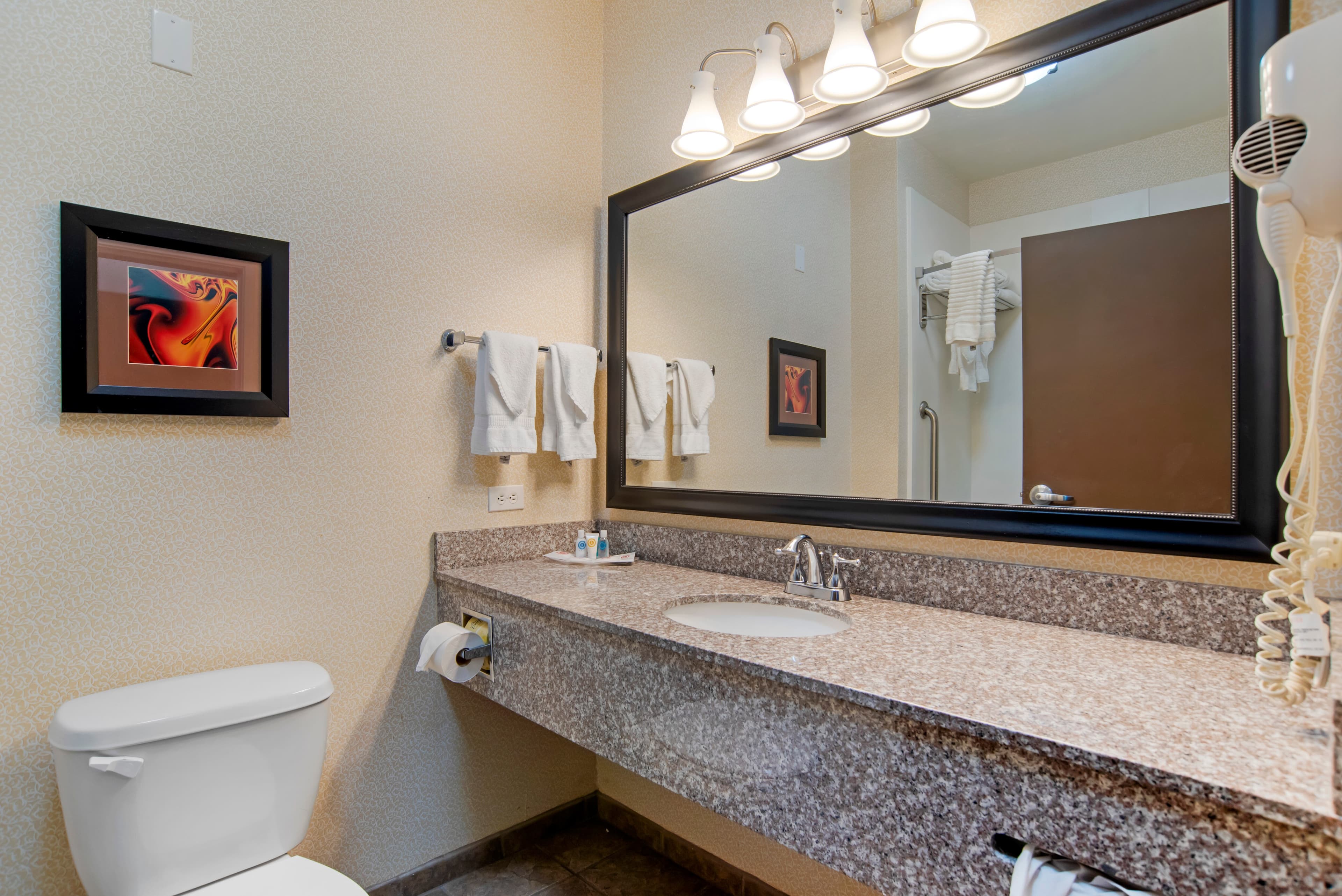Comfort Suites Alexandria North — 16