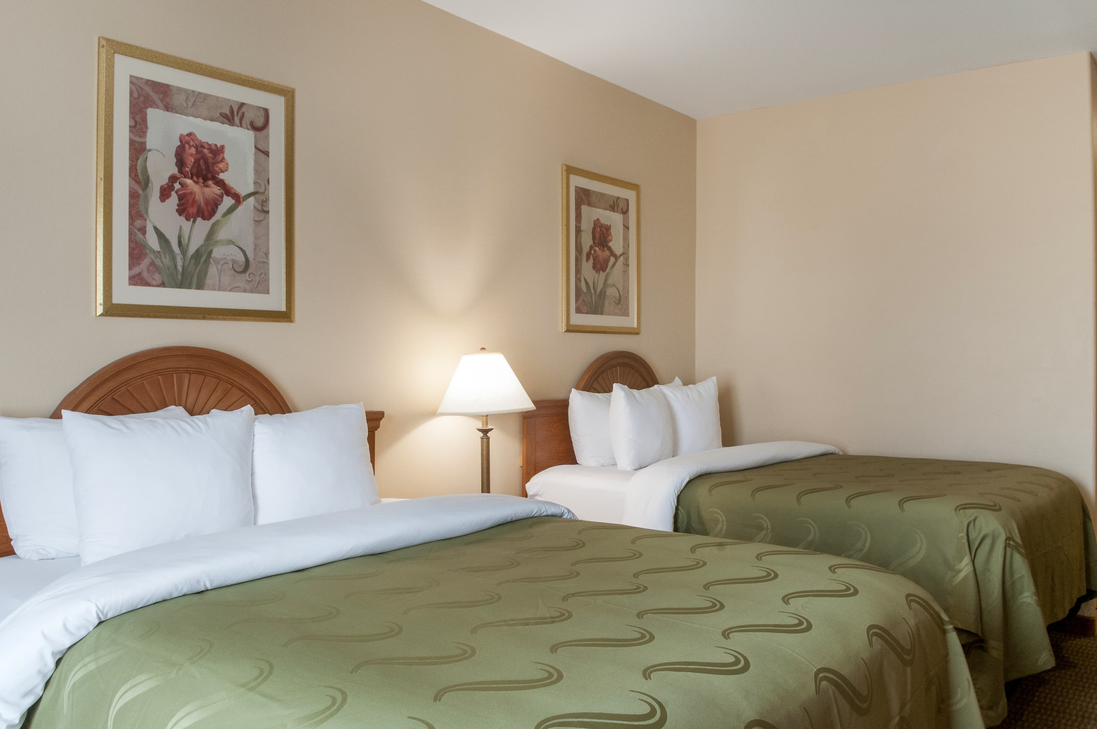 Quality Inn & Suites Houma - Image 3