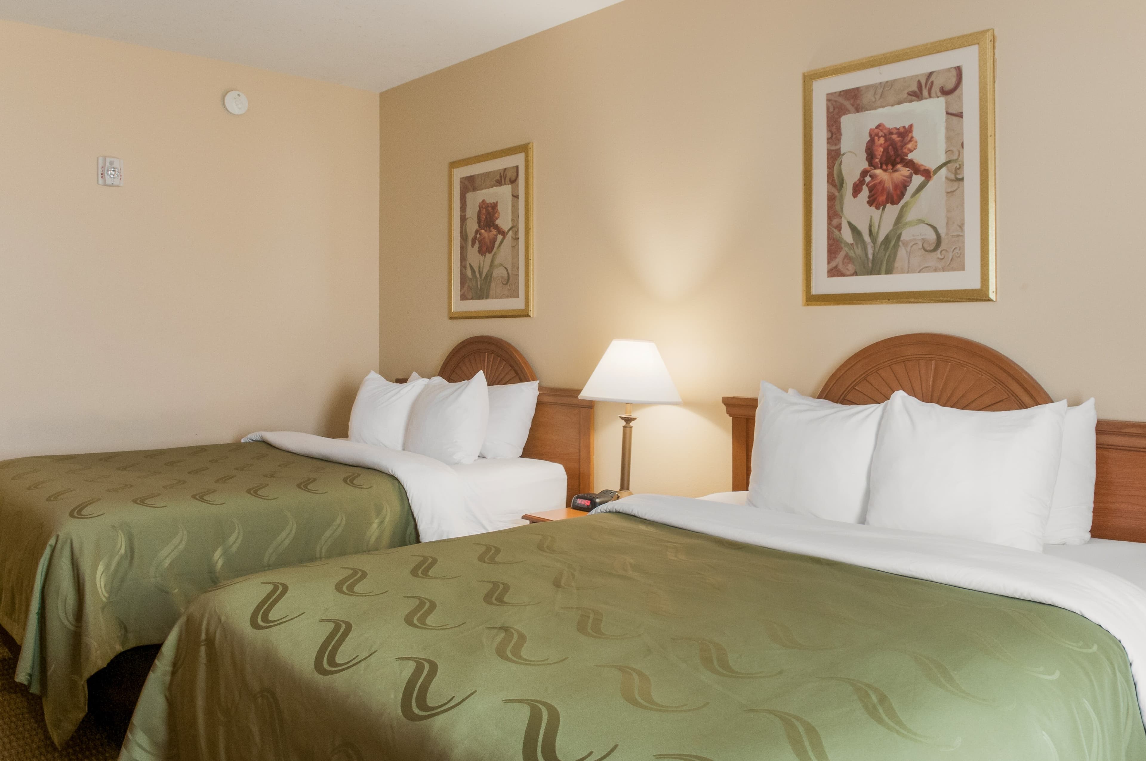 Quality Inn & Suites Houma — 8