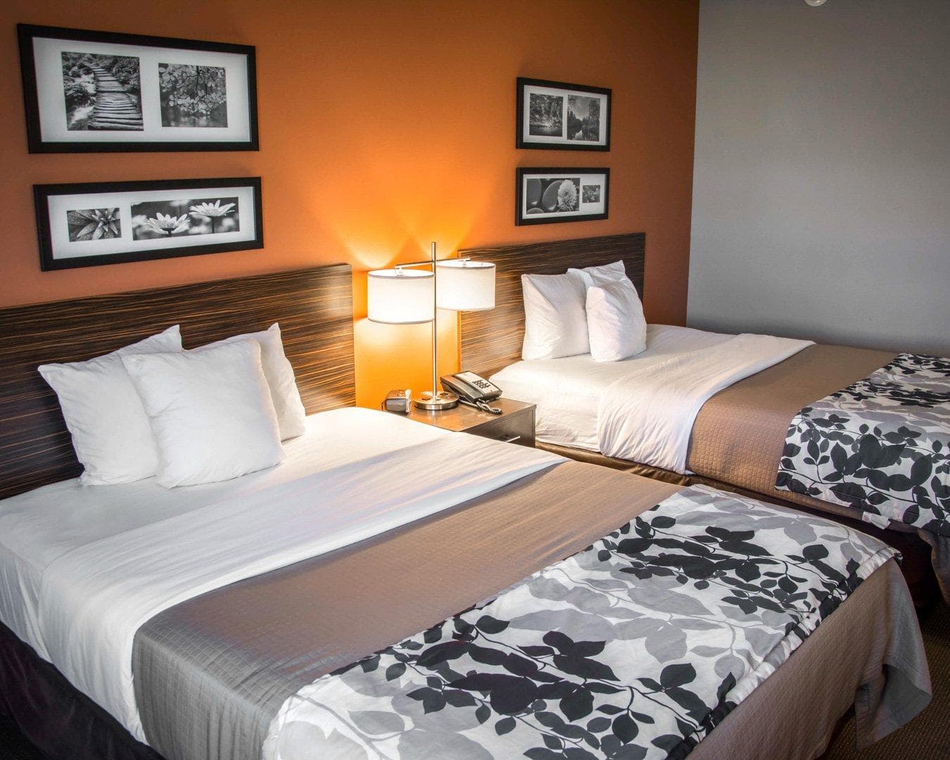 Sleep Inn & Suites Shreveport near Medical Center — 7