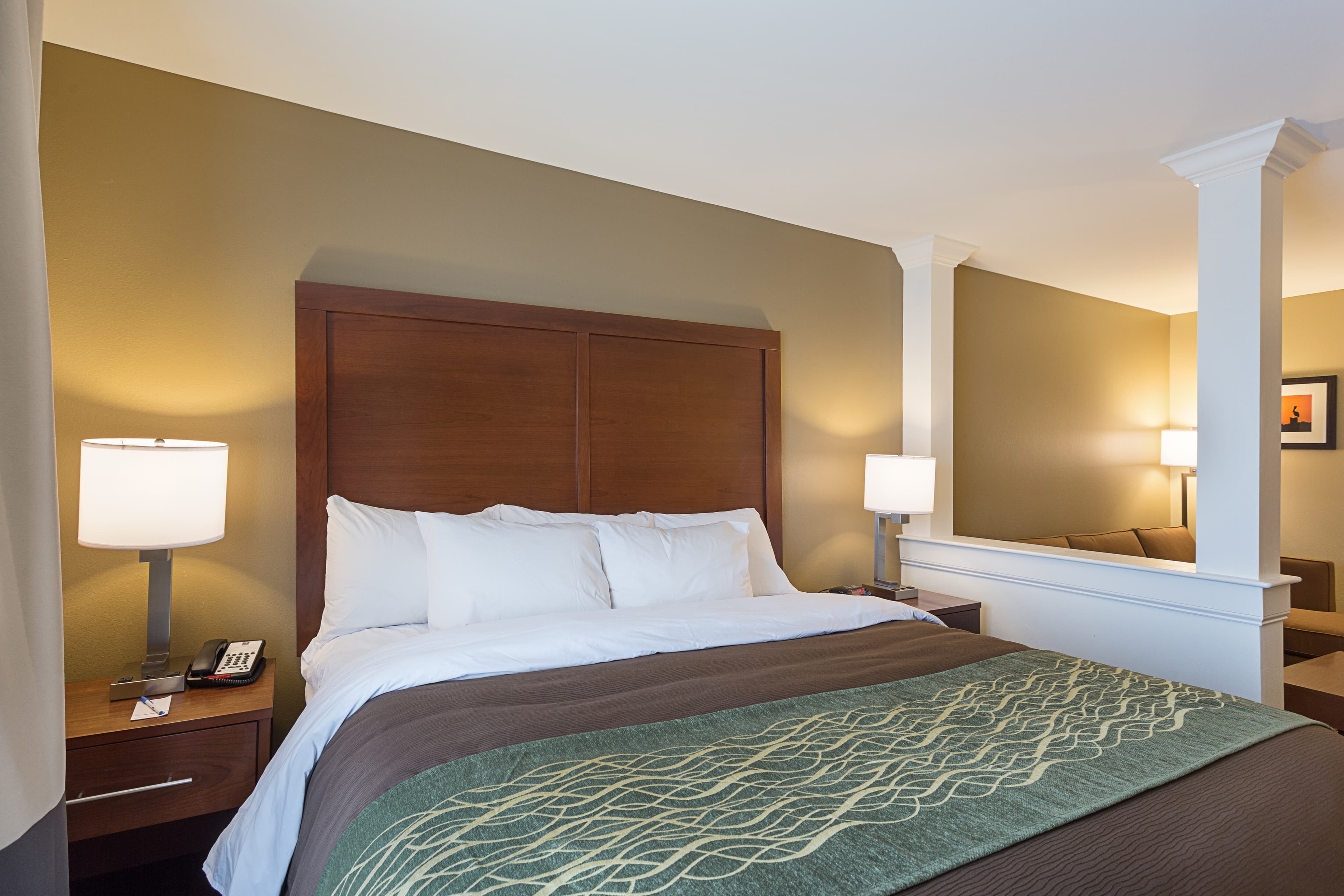 Comfort Inn & Suites Zachary — 37