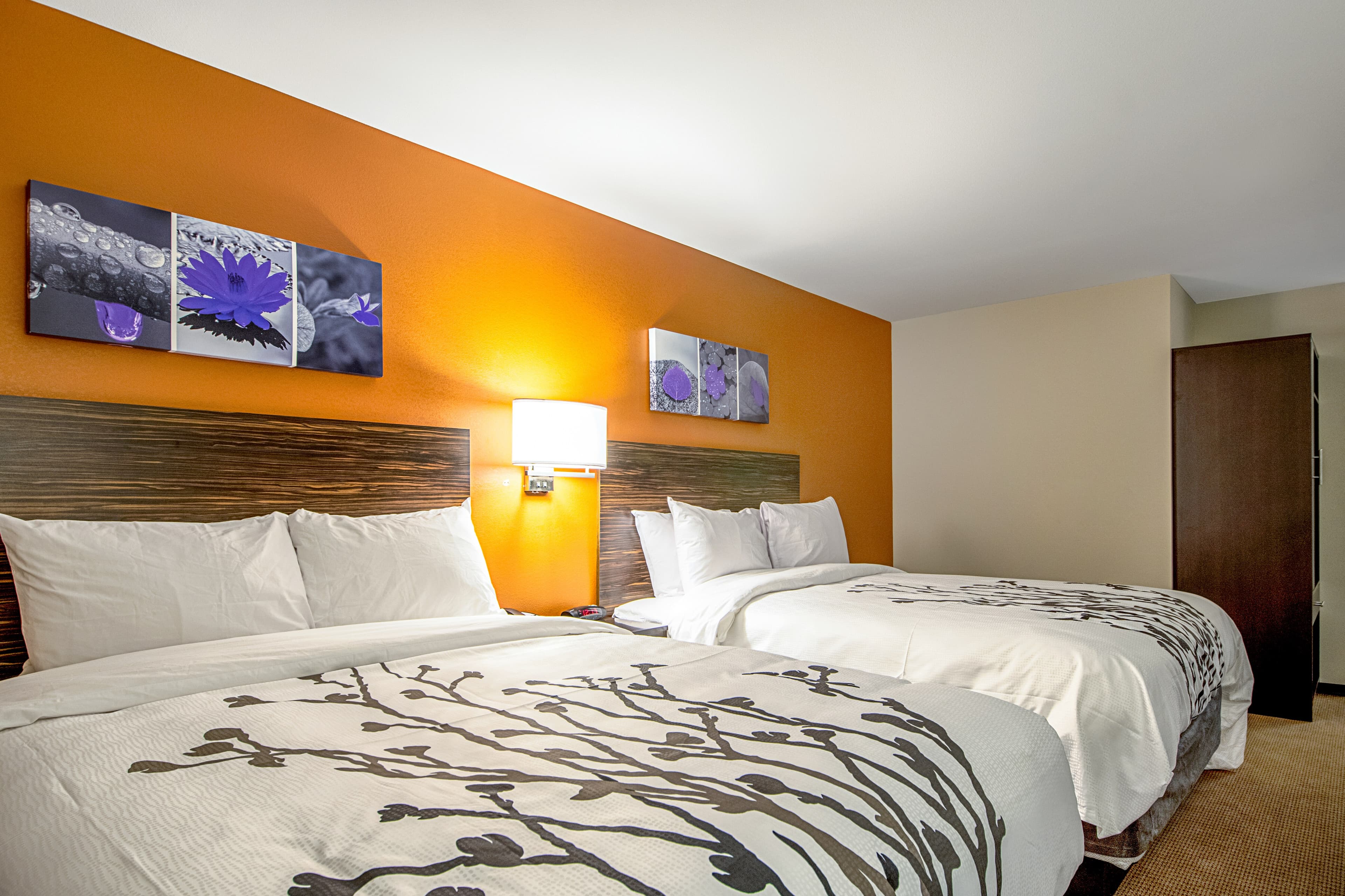 Sleep Inn Geismar - Gonzales — 7