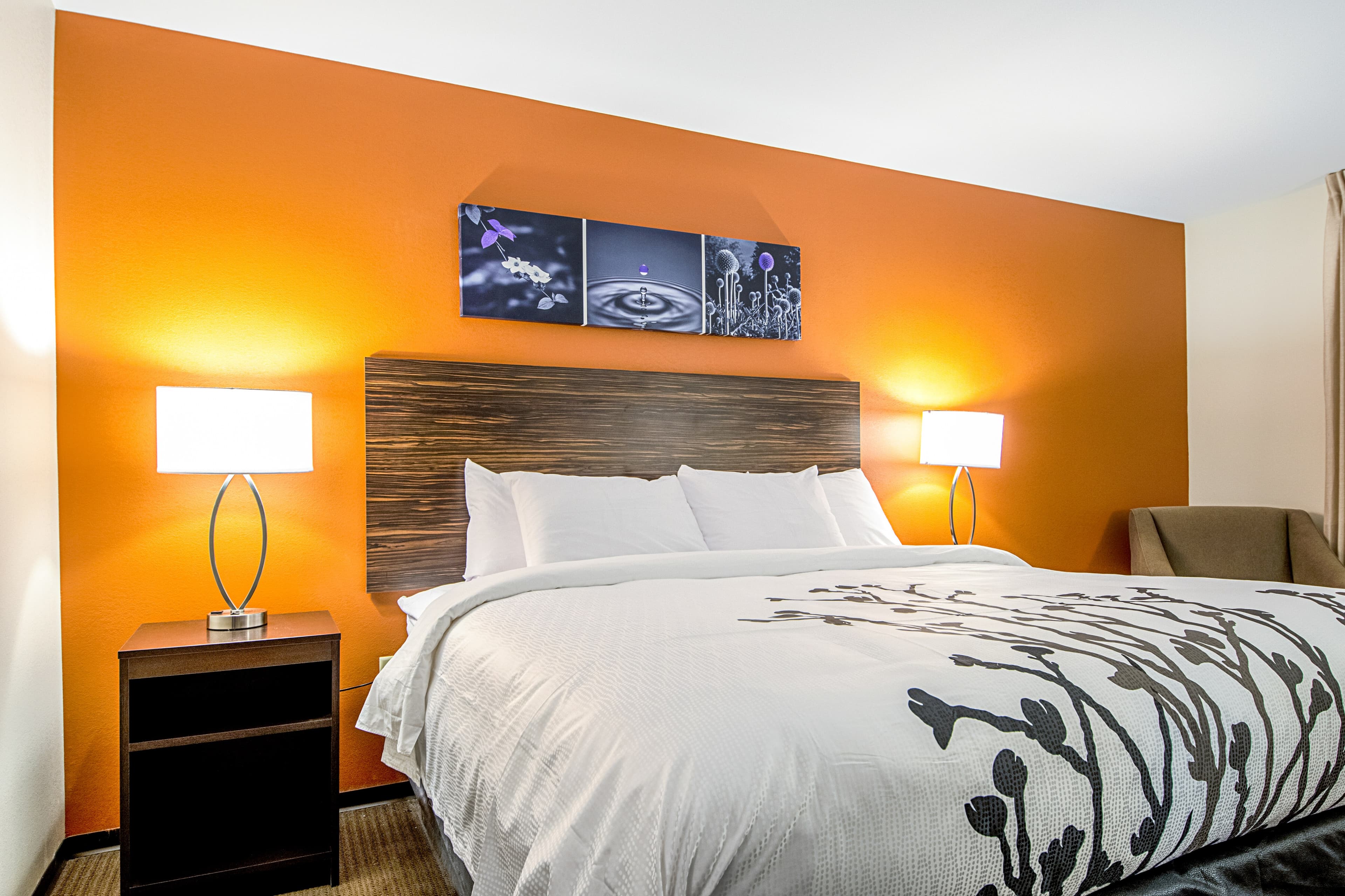 Sleep Inn Geismar - Gonzales - Image 2