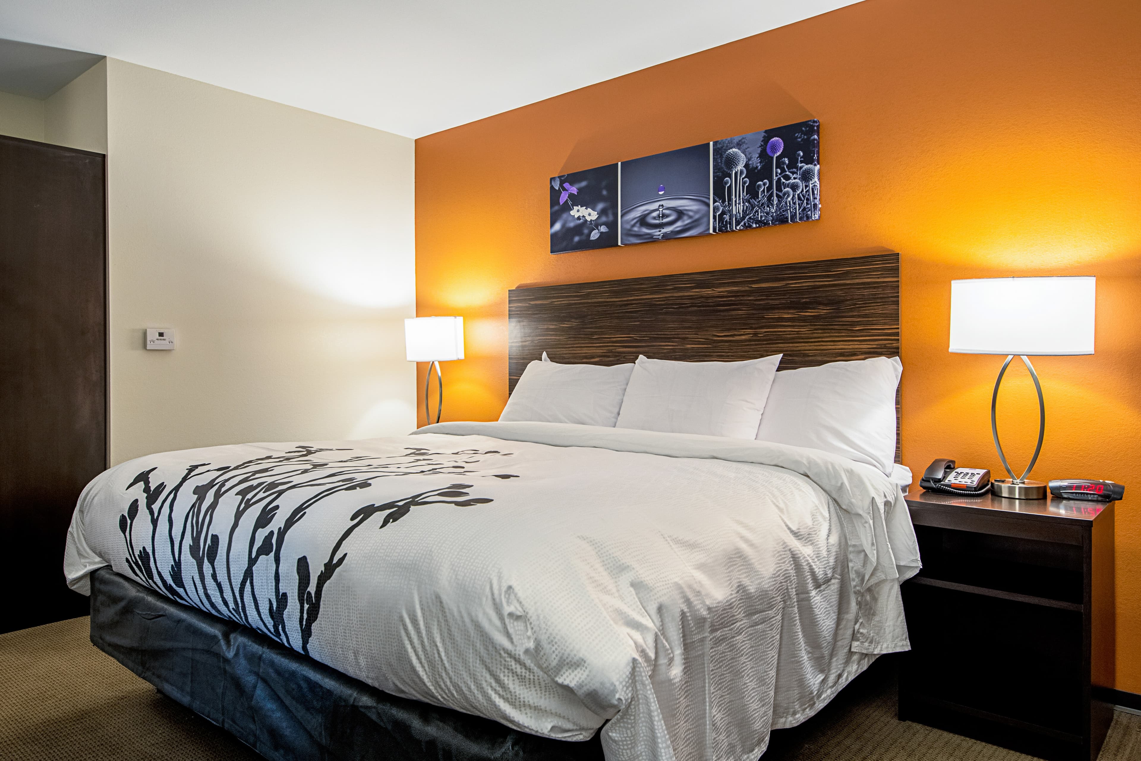 Sleep Inn Geismar - Gonzales - Image 4