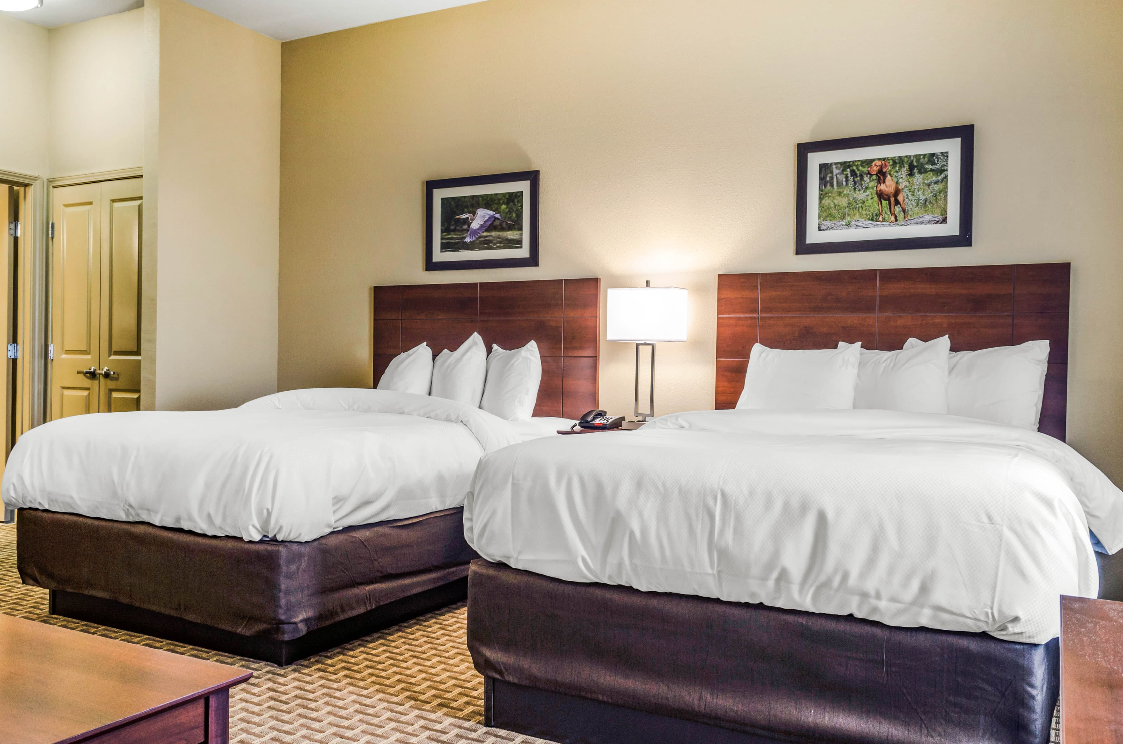 MainStay Suites Hackberry Sportsman's Lodge — 9
