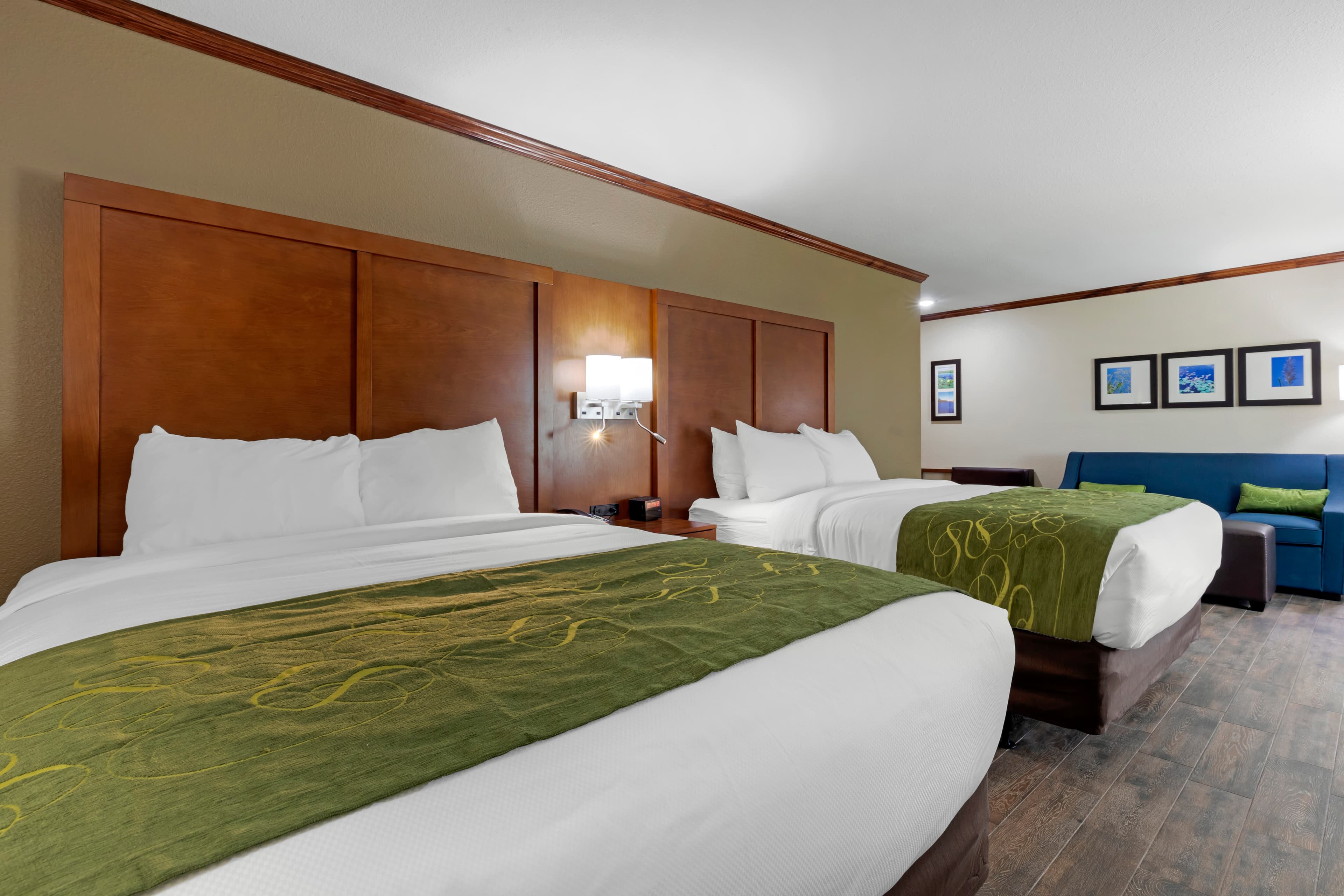 Comfort Suites West Monroe near Ike Hamilton Expo Center - Image 2