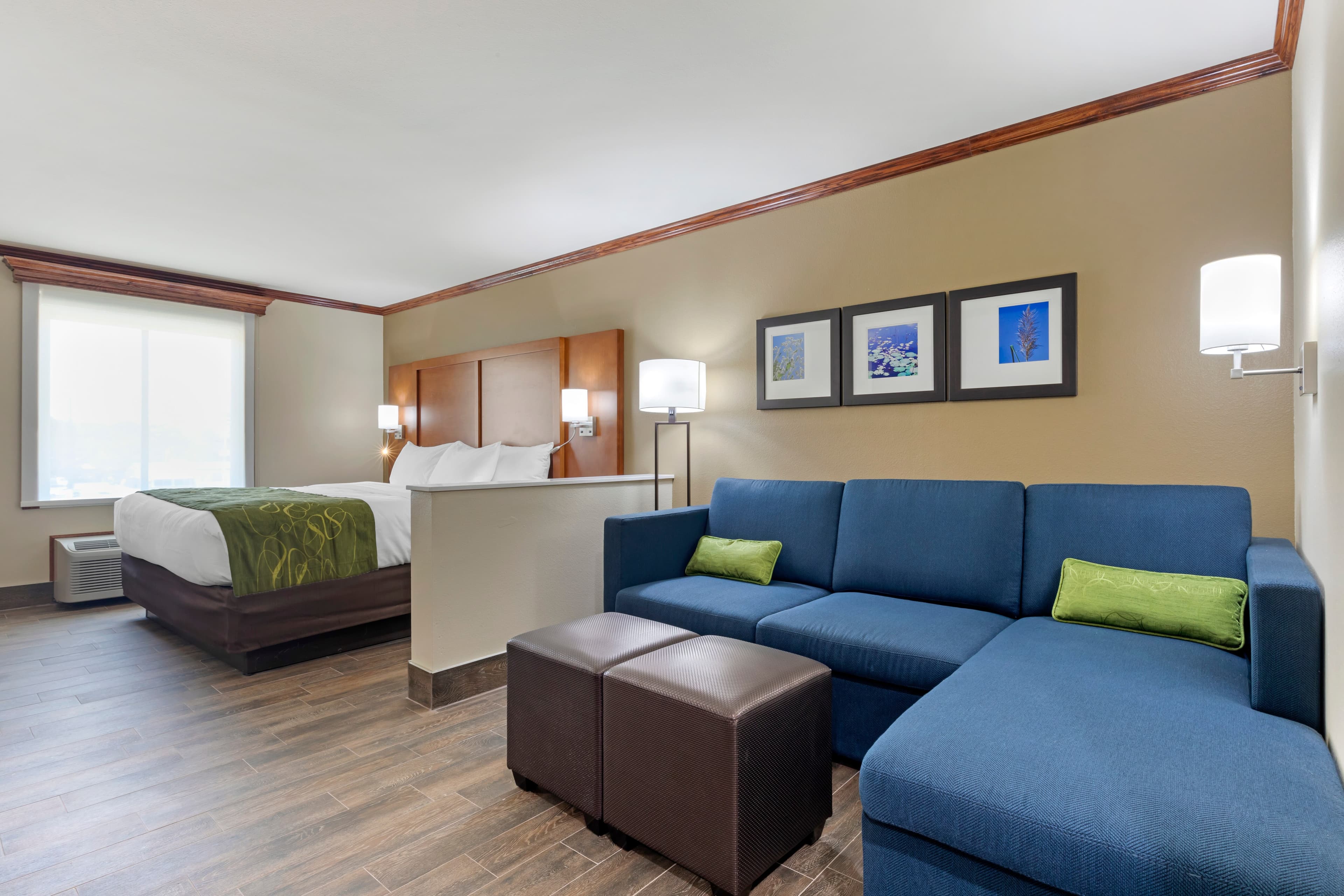 Comfort Suites West Monroe near Ike Hamilton Expo Center — 11
