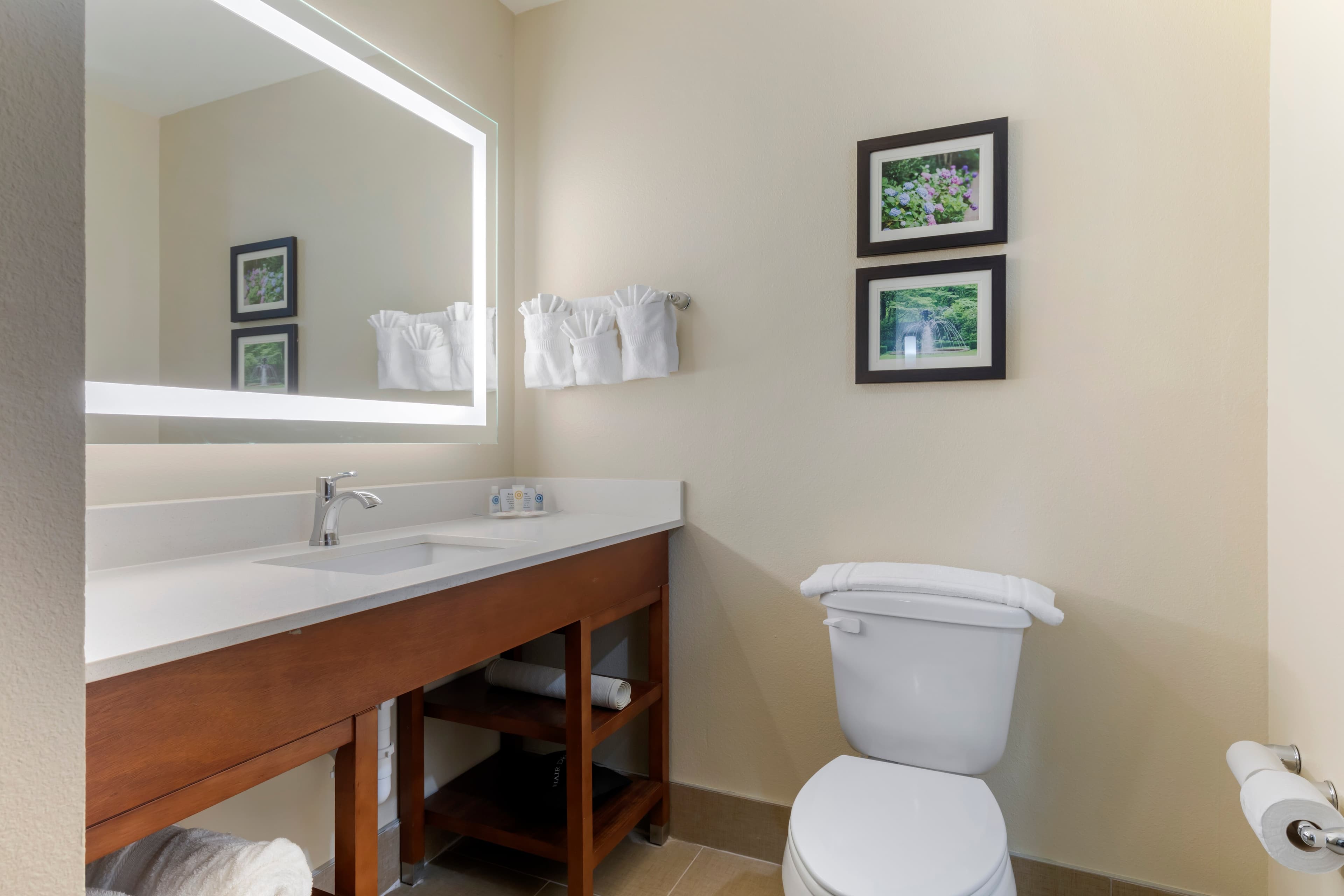 Comfort Suites West Monroe near Ike Hamilton Expo Center — 13