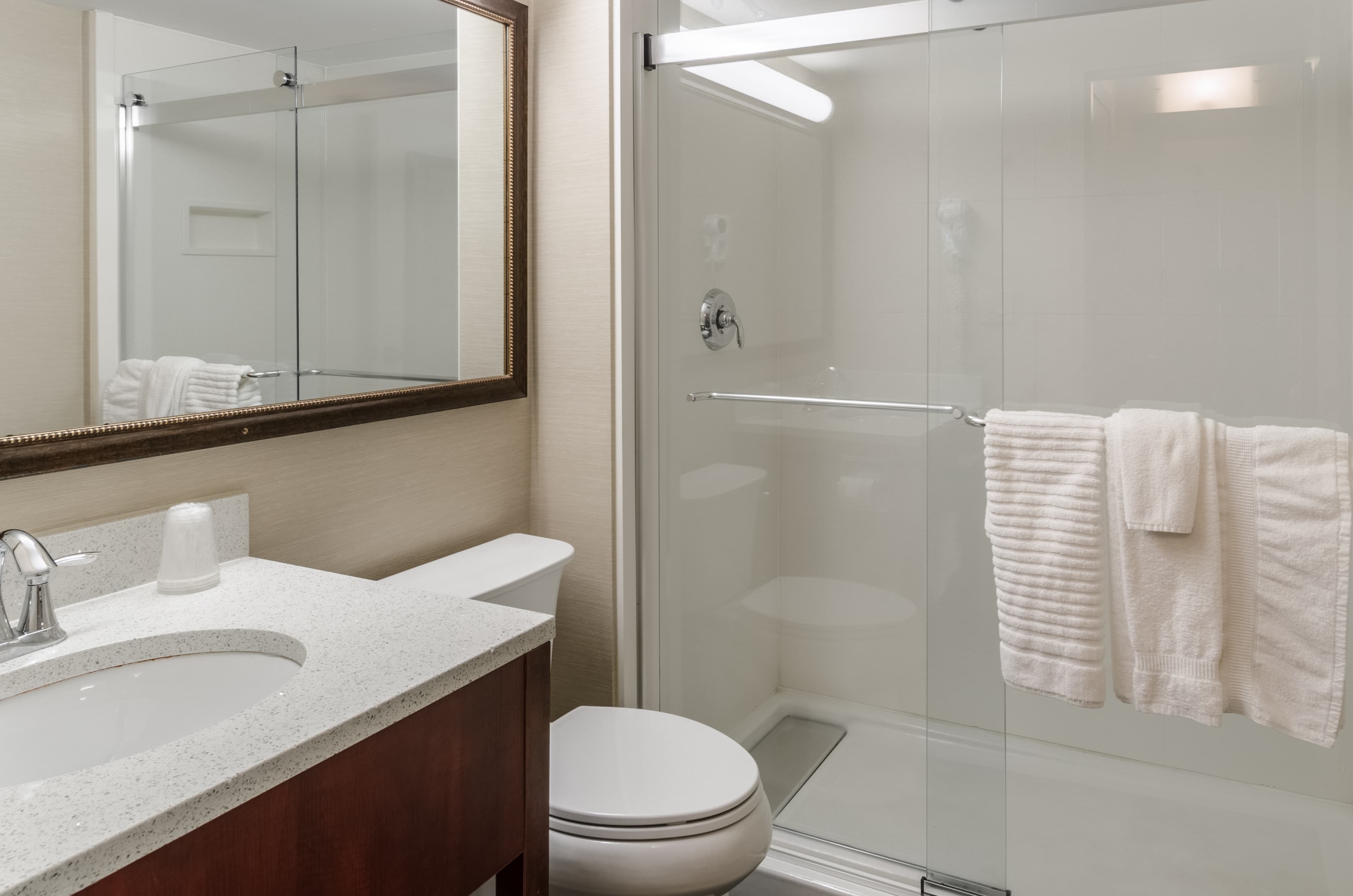 Comfort Inn & Suites West Springfield — 30