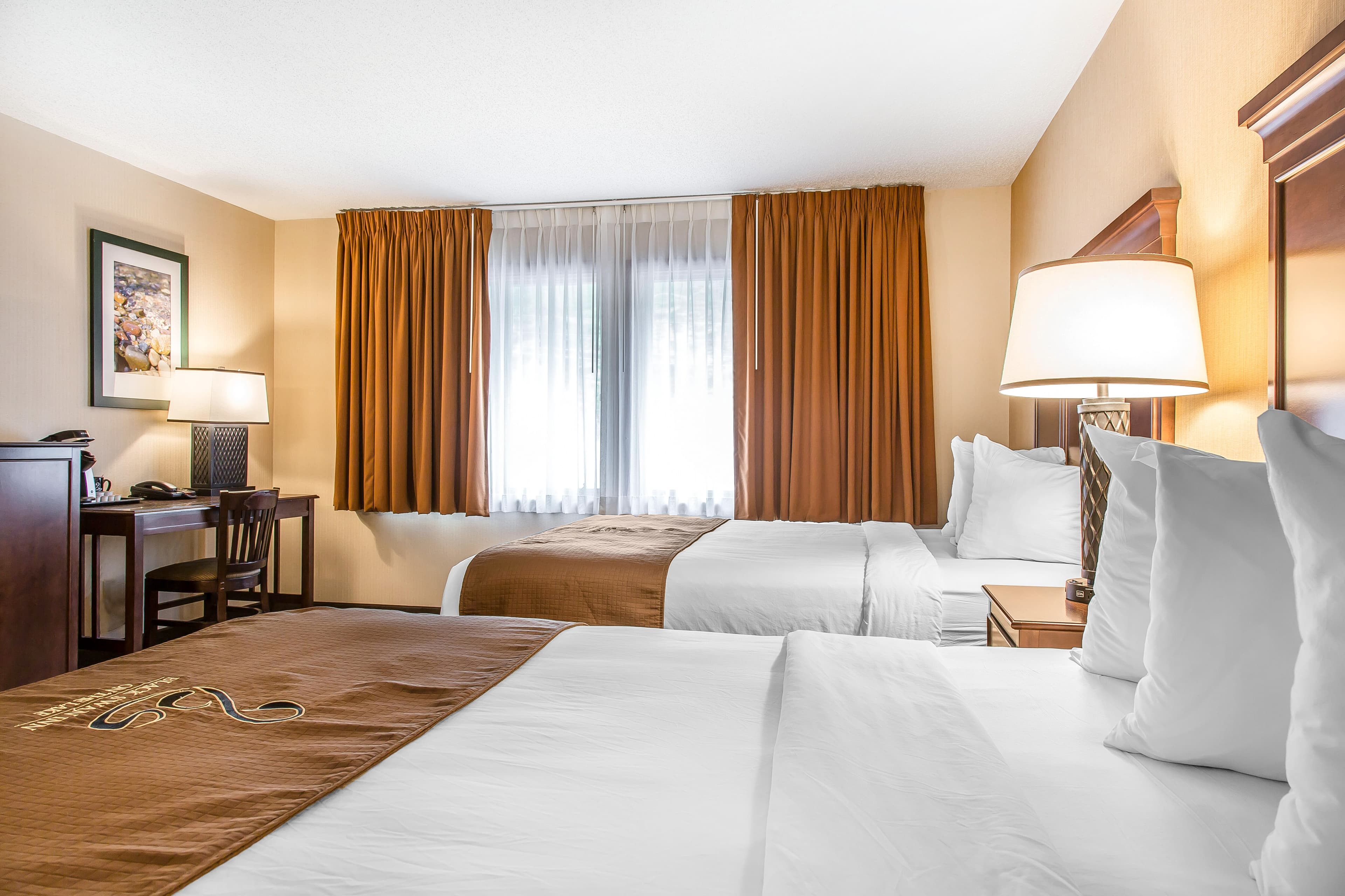 The Black Swan Lee - Lenox, an Ascend Collection Hotel — 40