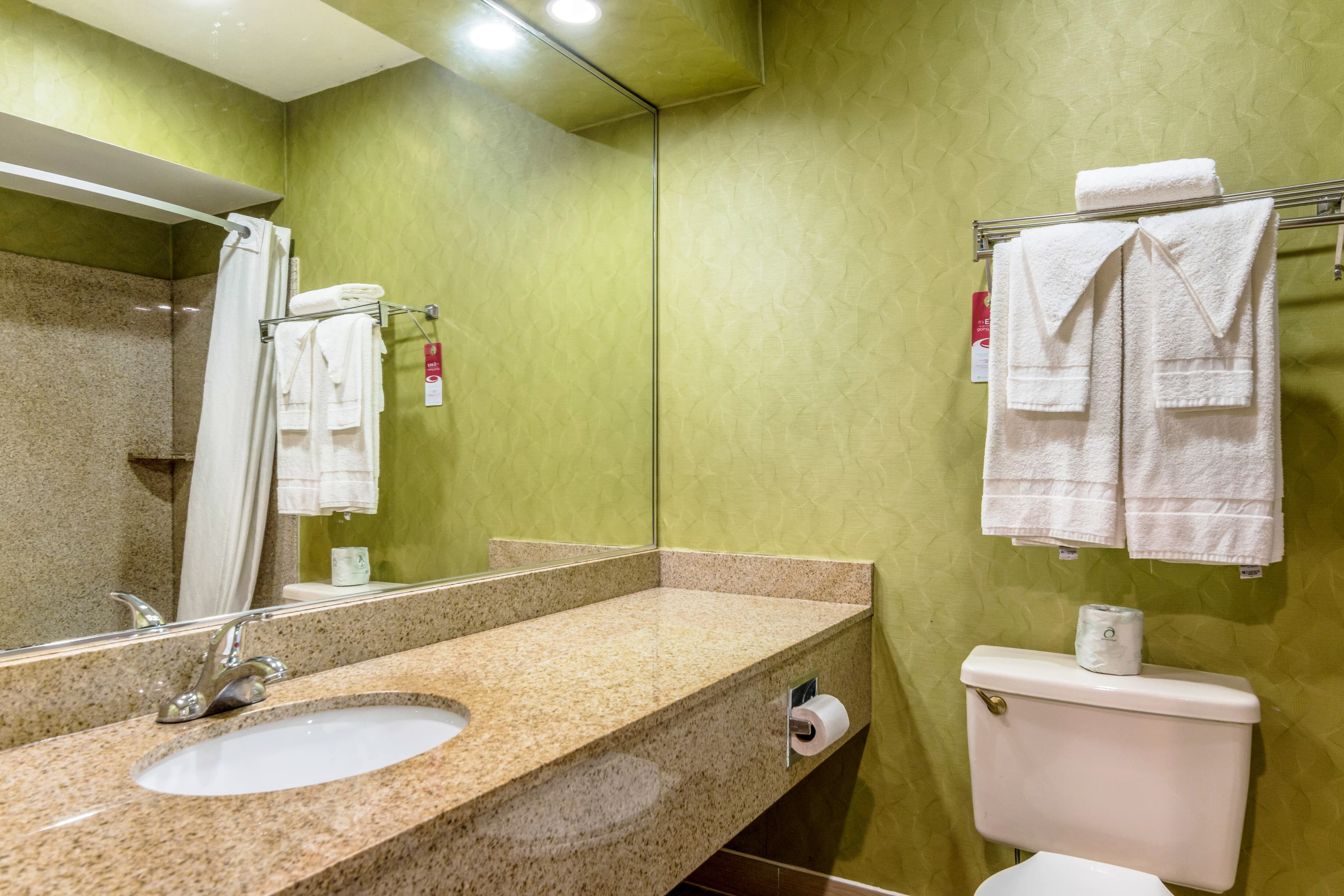 Econo Lodge Pocomoke City Hwy 13 — 10